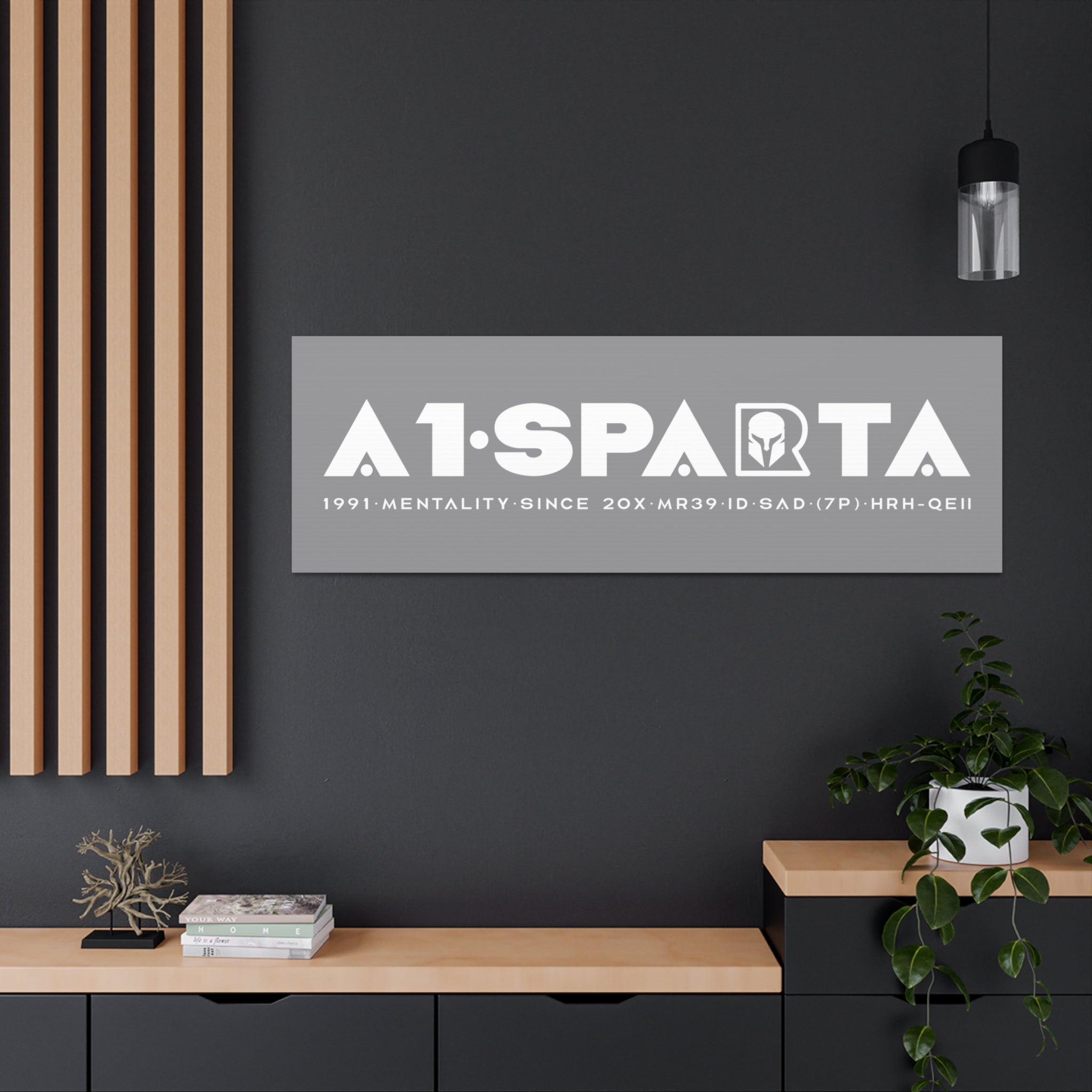 Canvas Gallery Wraps (A1•SPARTA RANGE)