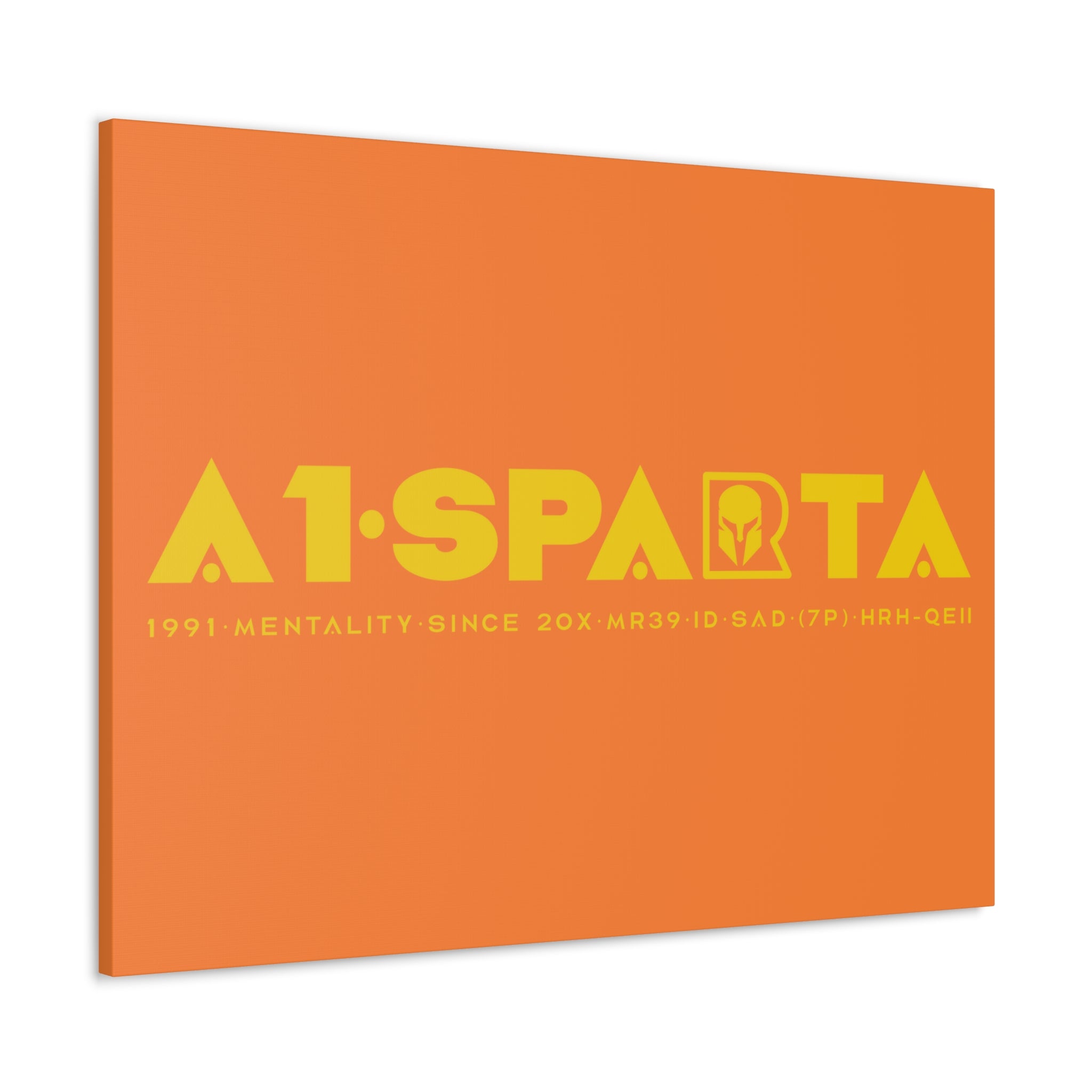 Canvas Gallery Wraps (A1•SPARTA RANGE)