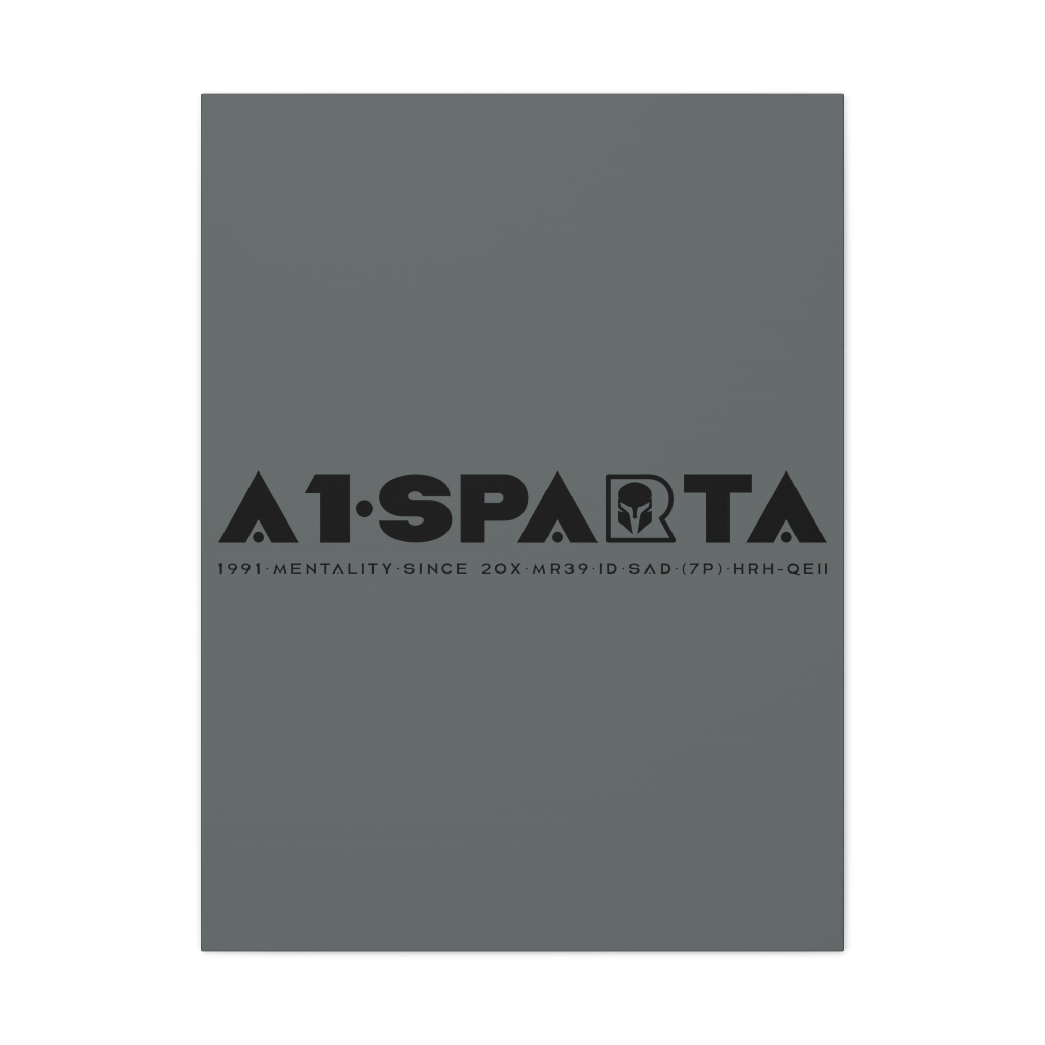 Canvas Gallery Wraps (A1•SPARTA RANGE)