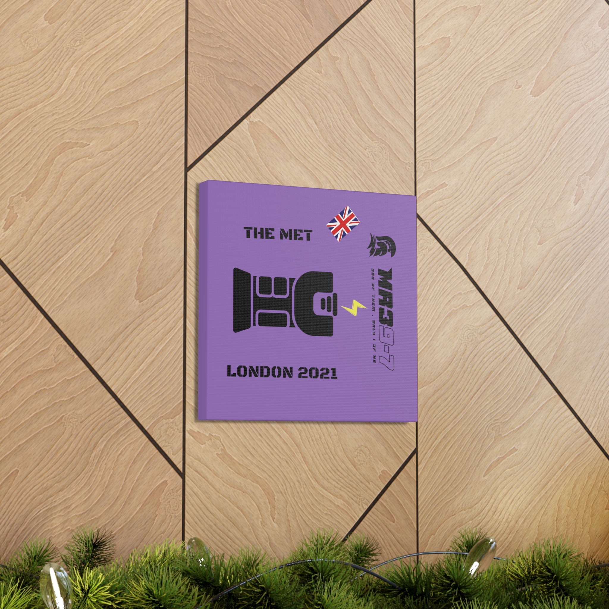 Copy of Canvas Gallery Wraps MR 39 Tasered by The MET 2021