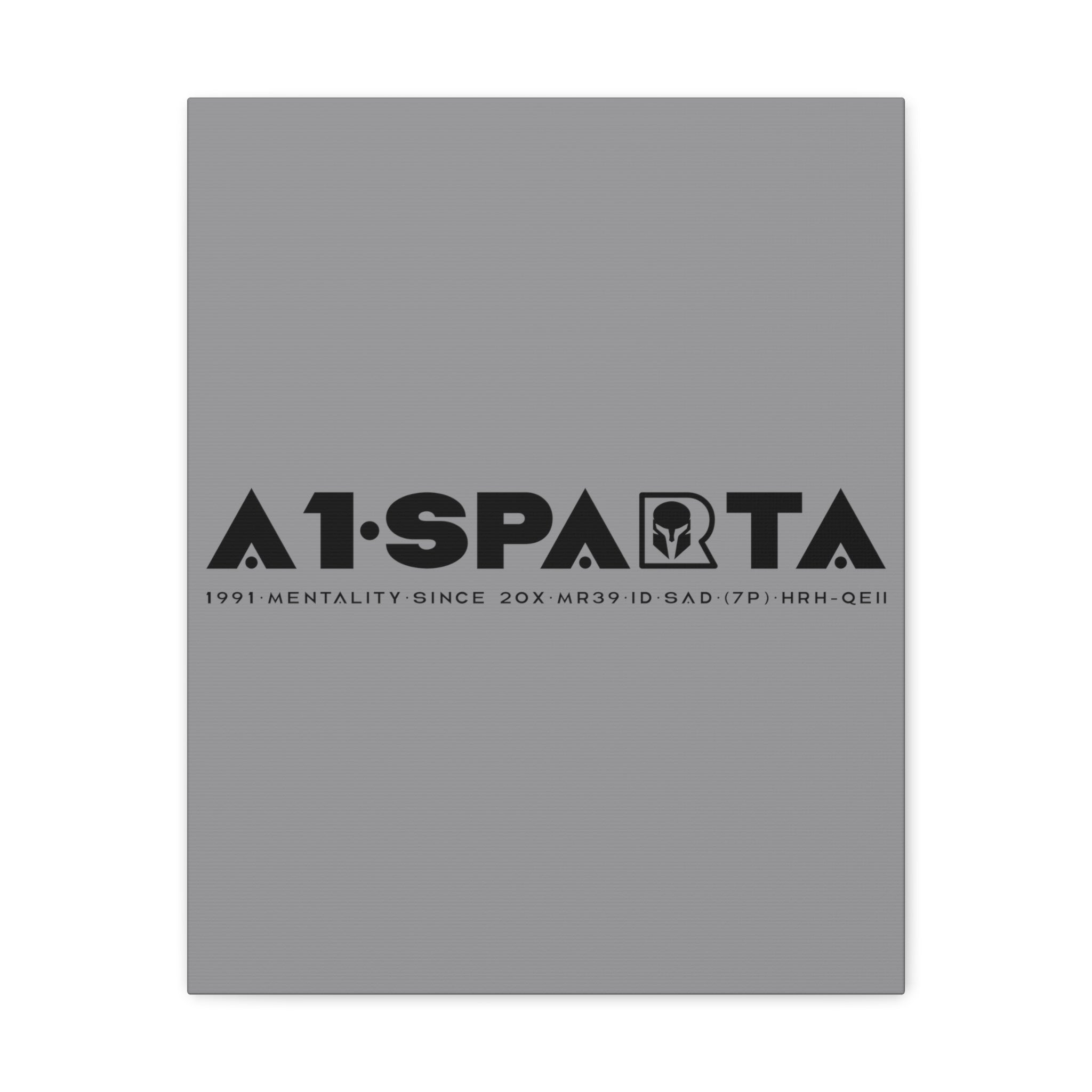 Canvas Gallery Wraps (A1•SPARTA RANGE)