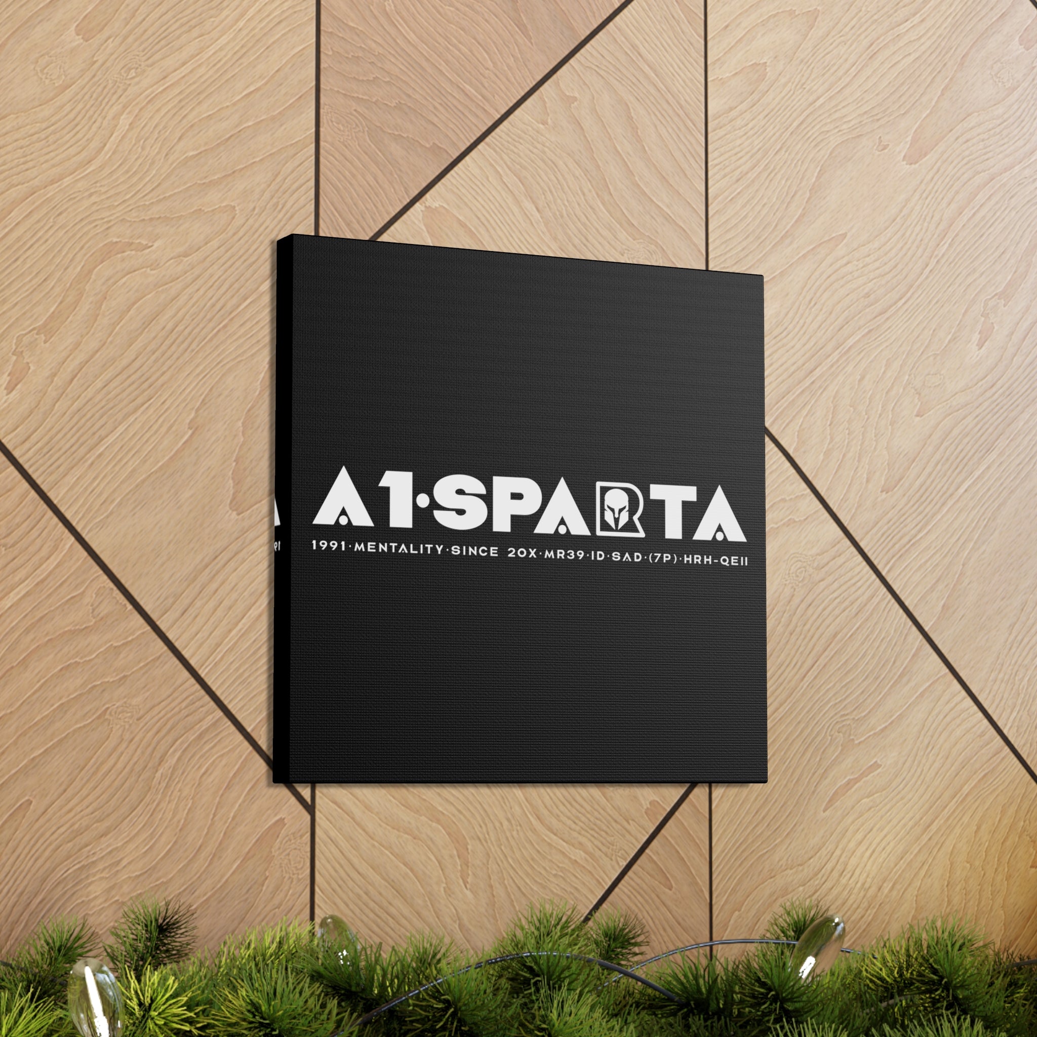 Canvas Gallery Wraps (A1•SPARTA RANGE)
