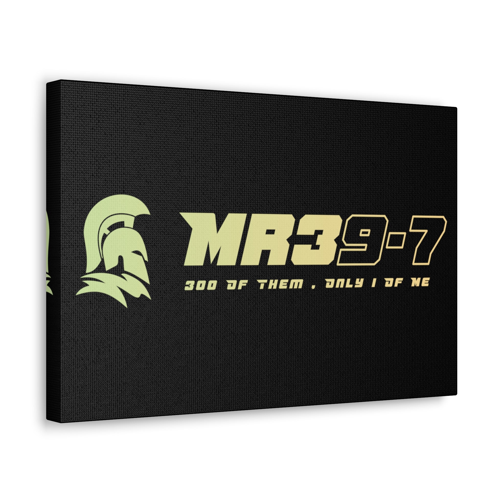 Canvas Gallery Wraps (A1•SPARTA RANGE)