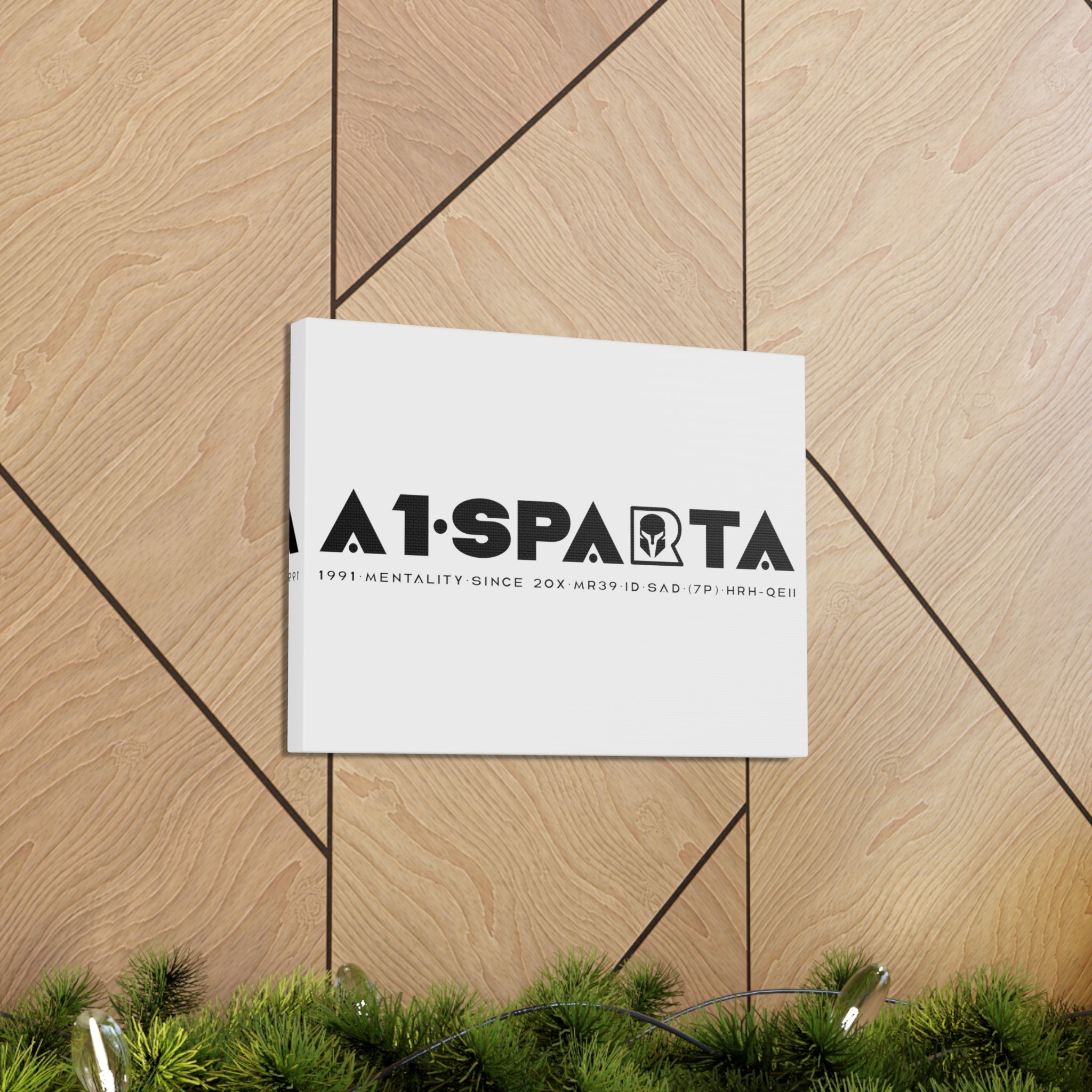 Canvas Gallery Wraps (A1•SPARTA RANGE)