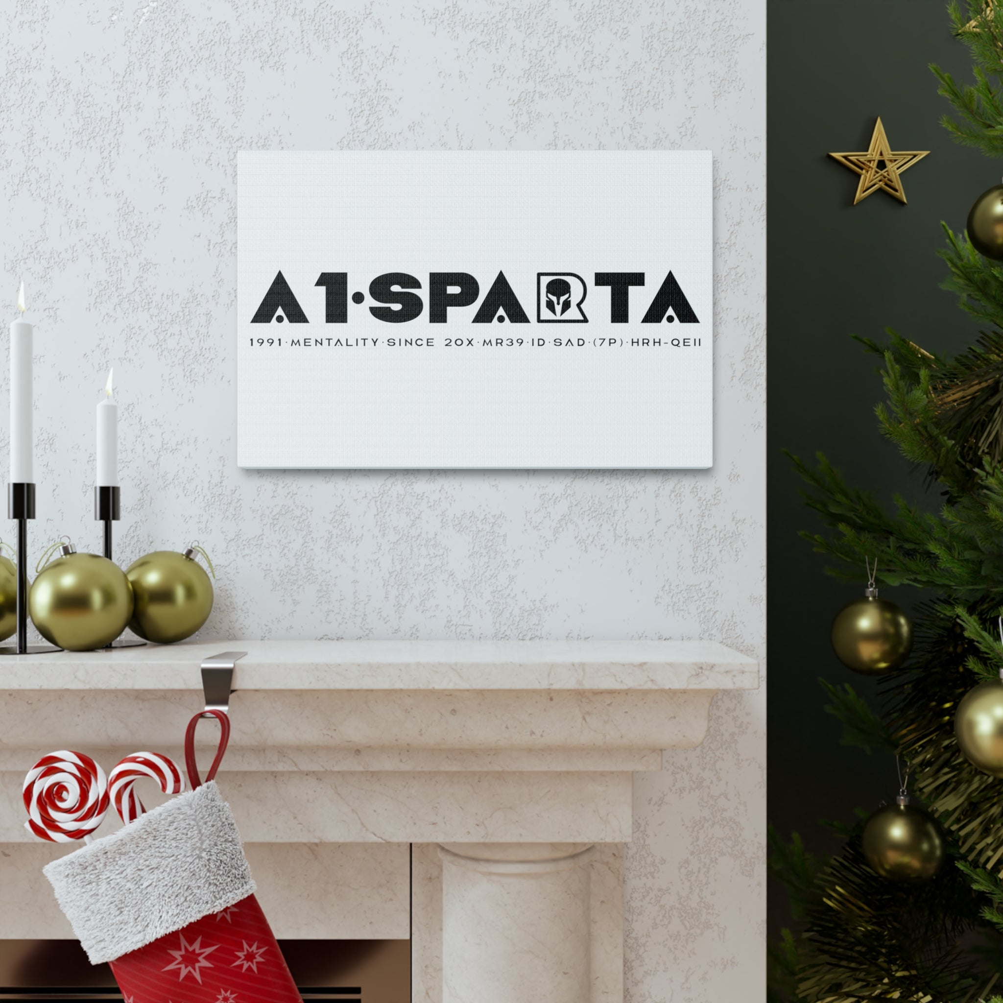 Canvas Gallery Wraps (A1•SPARTA RANGE)