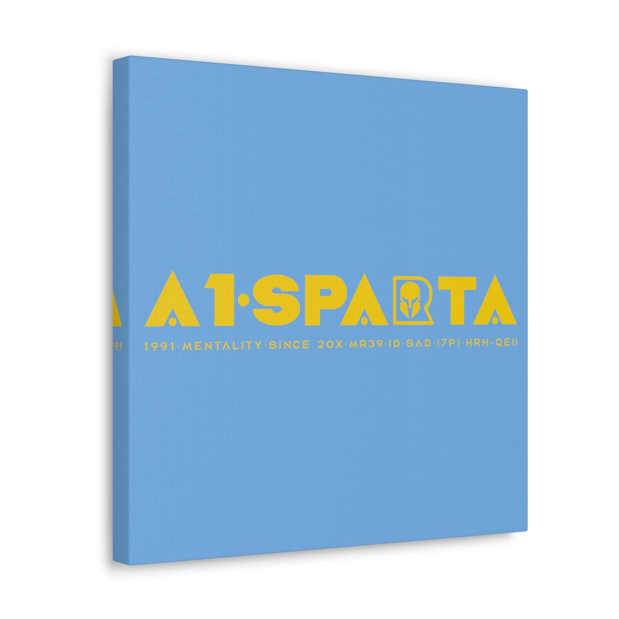 Canvas Gallery Wraps (A1•SPARTA RANGE)