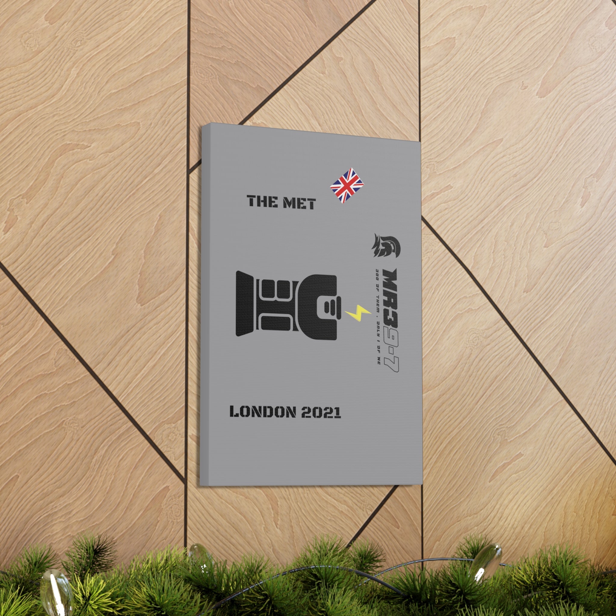 Copy of Canvas Gallery Wraps MR 39 Tasered by The MET 2021