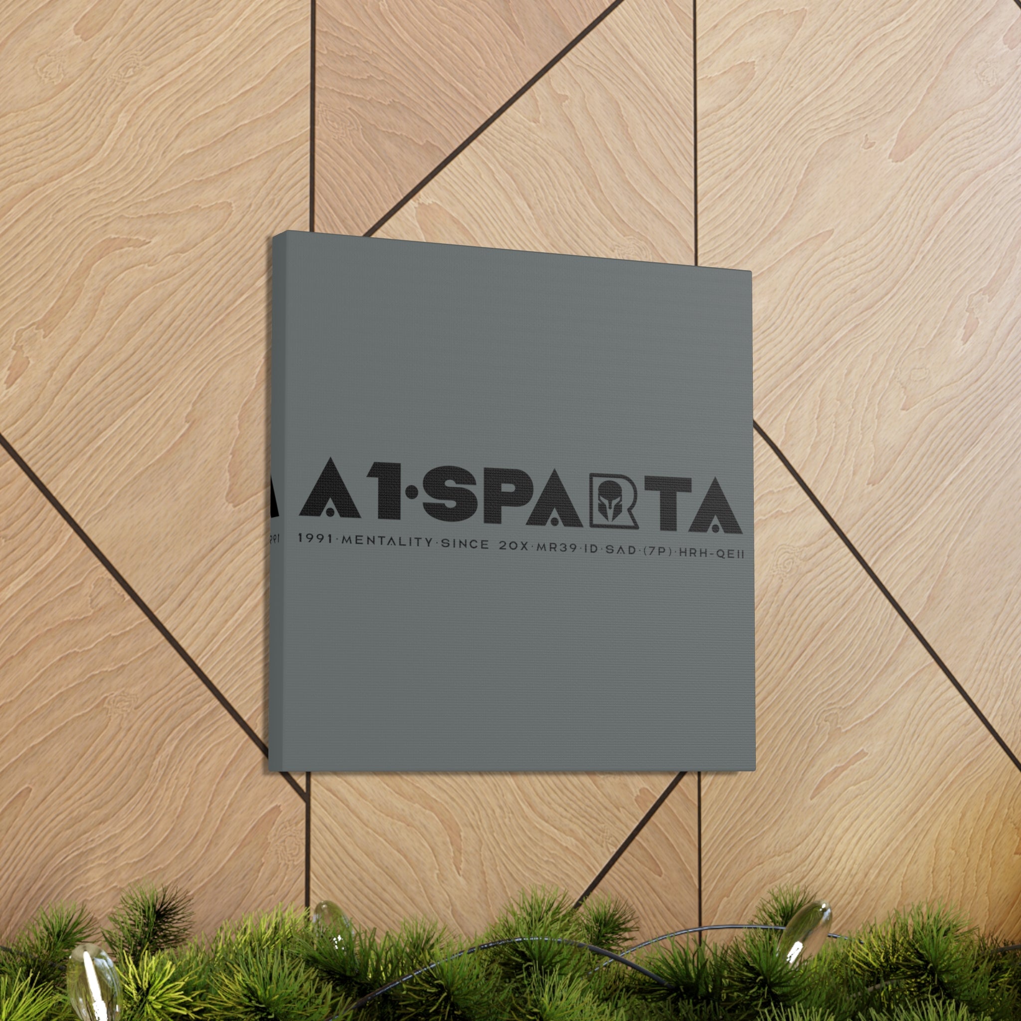 Canvas Gallery Wraps (A1•SPARTA RANGE)