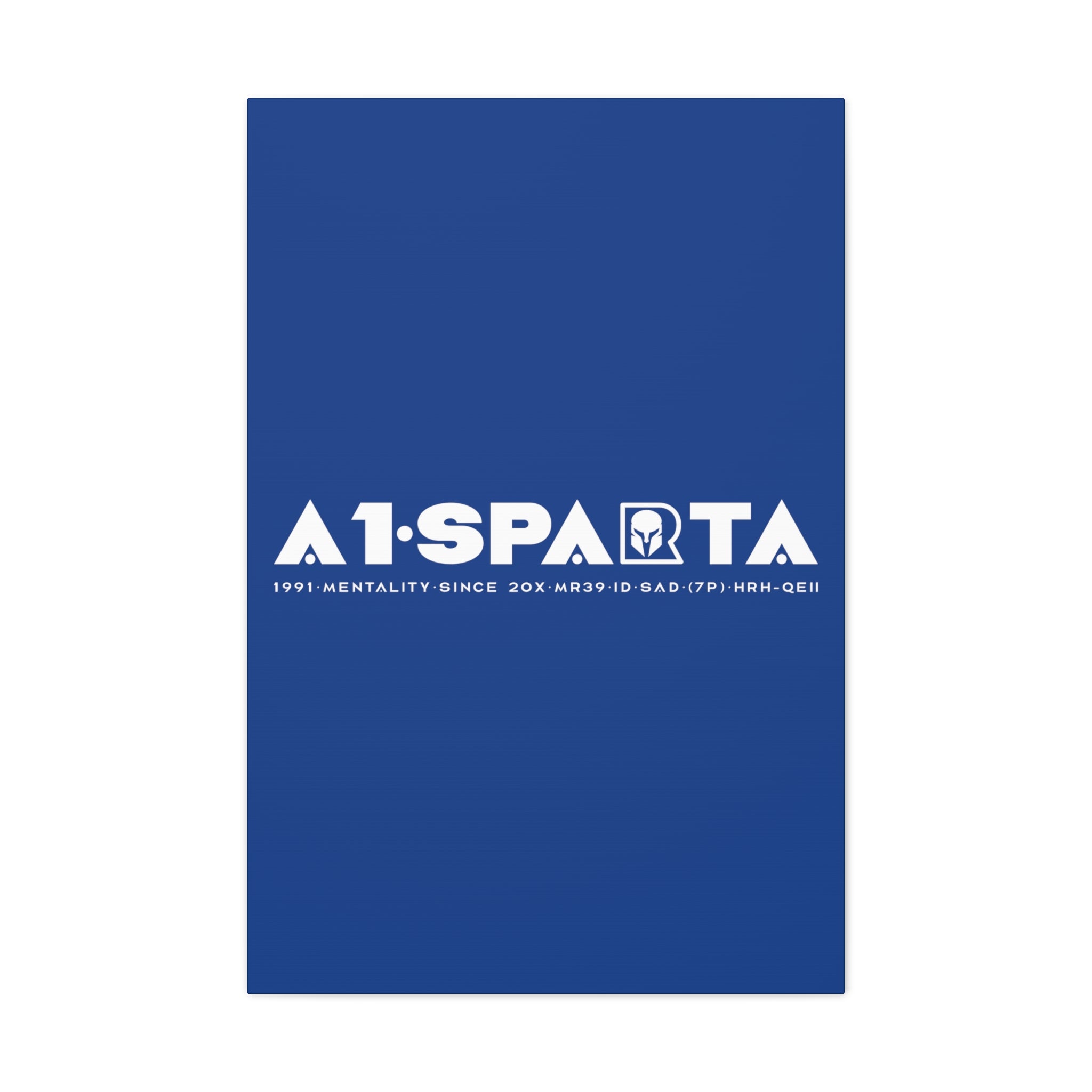 Canvas Gallery Wraps (A1•SPARTA RANGE)