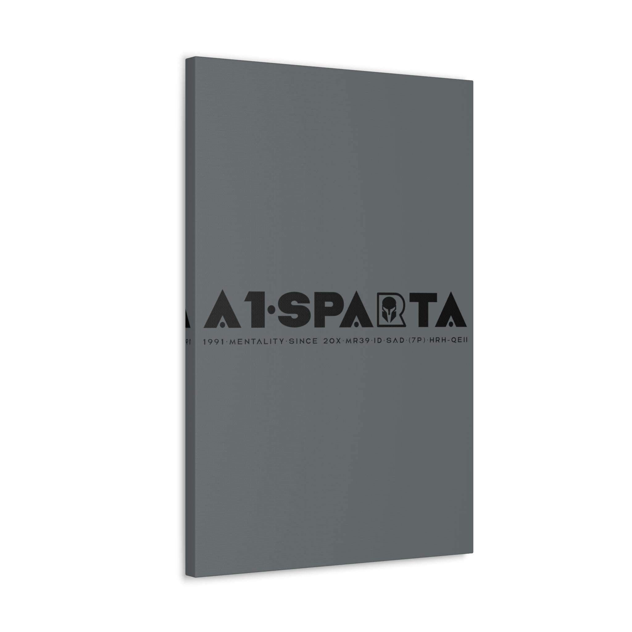Canvas Gallery Wraps (A1•SPARTA RANGE)