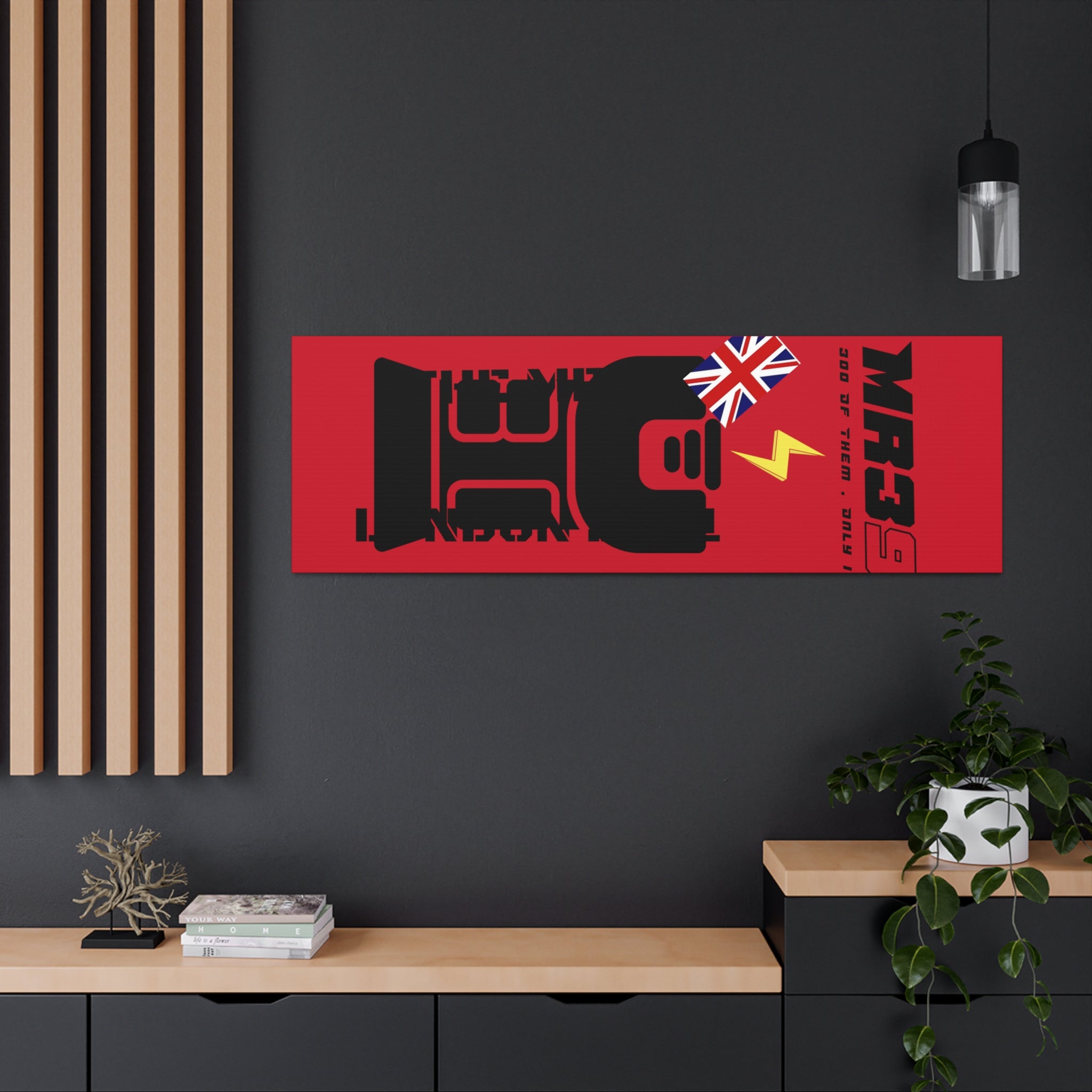 Canvas Gallery Wraps MR 39 Tasered by The MET 2021