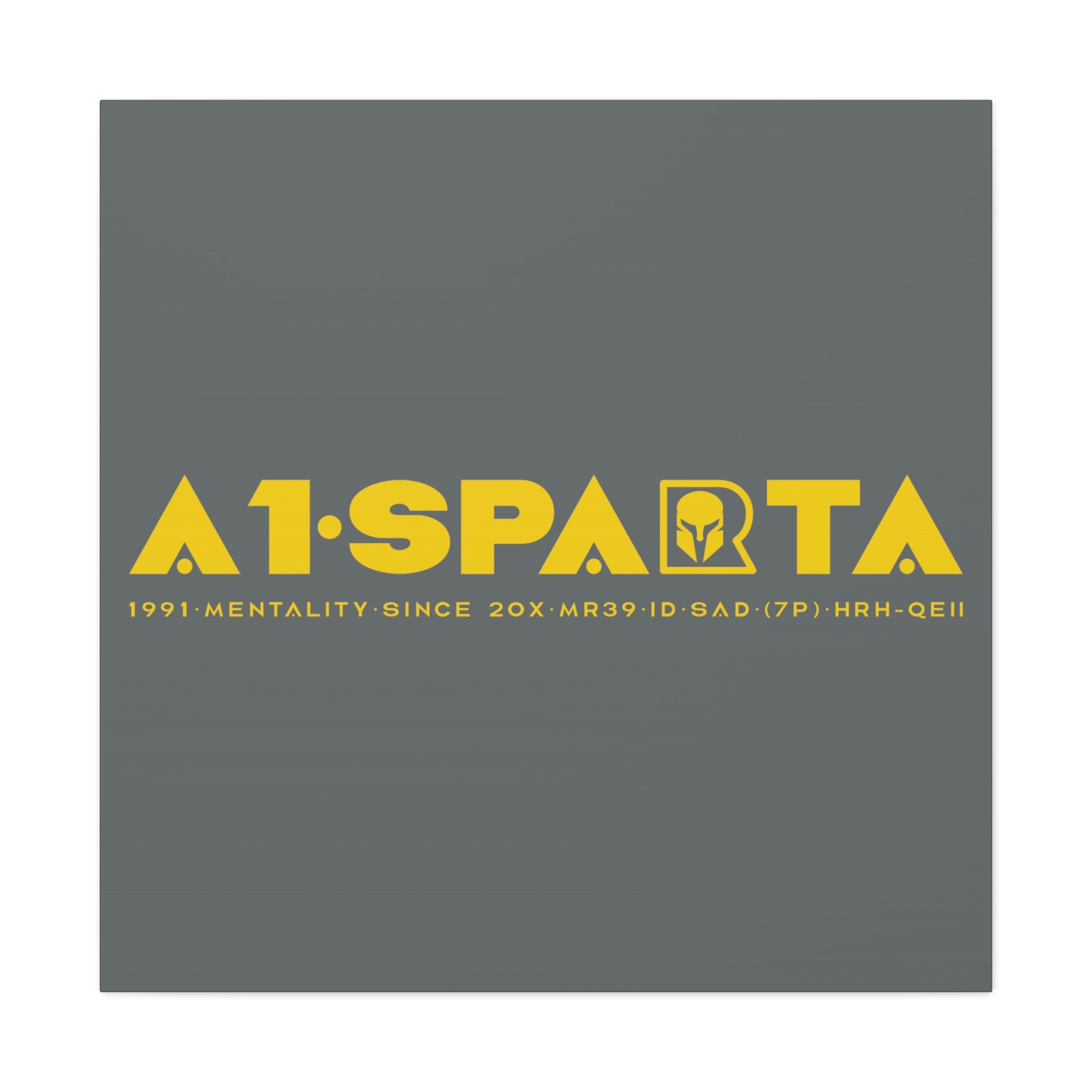 Canvas Gallery Wraps (A1•SPARTA RANGE)