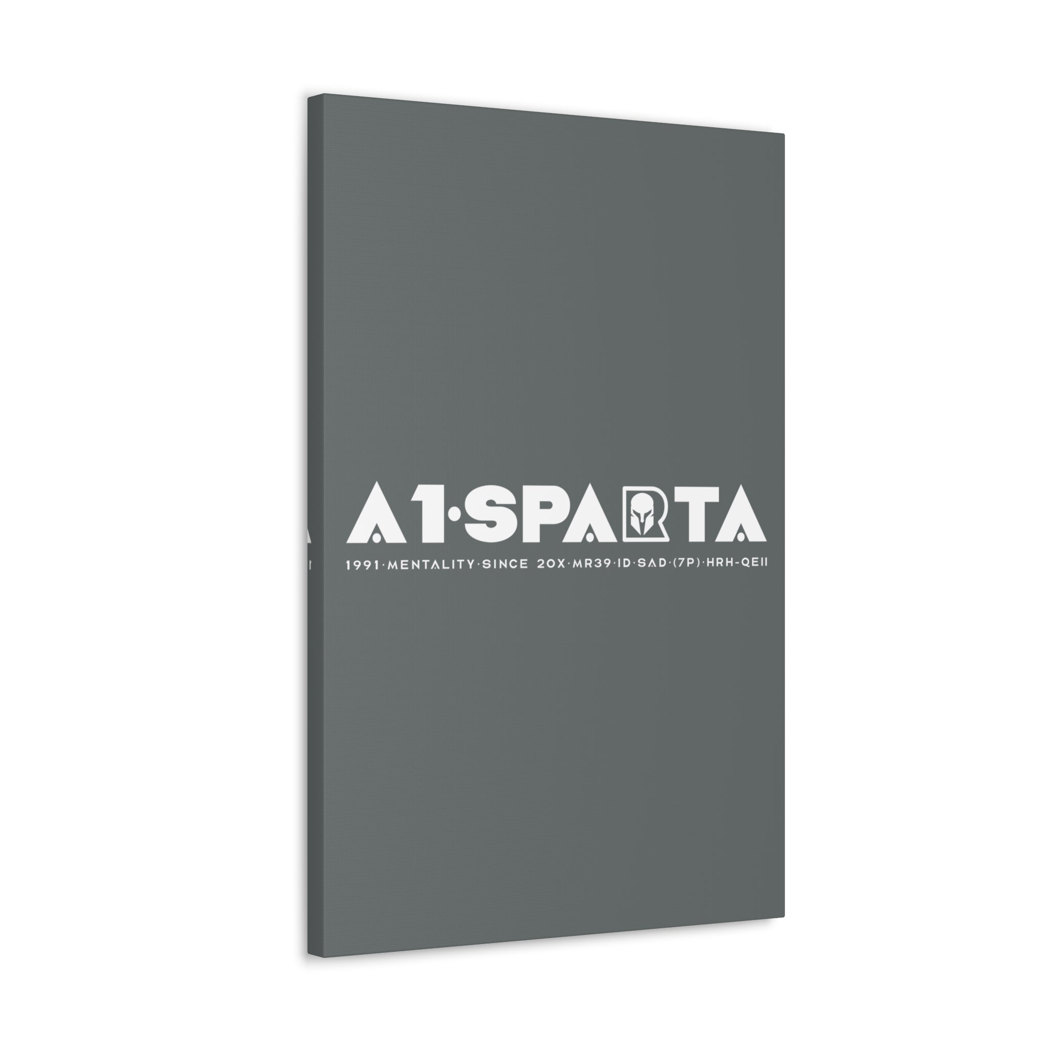 Canvas Gallery Wraps (A1•SPARTA RANGE)