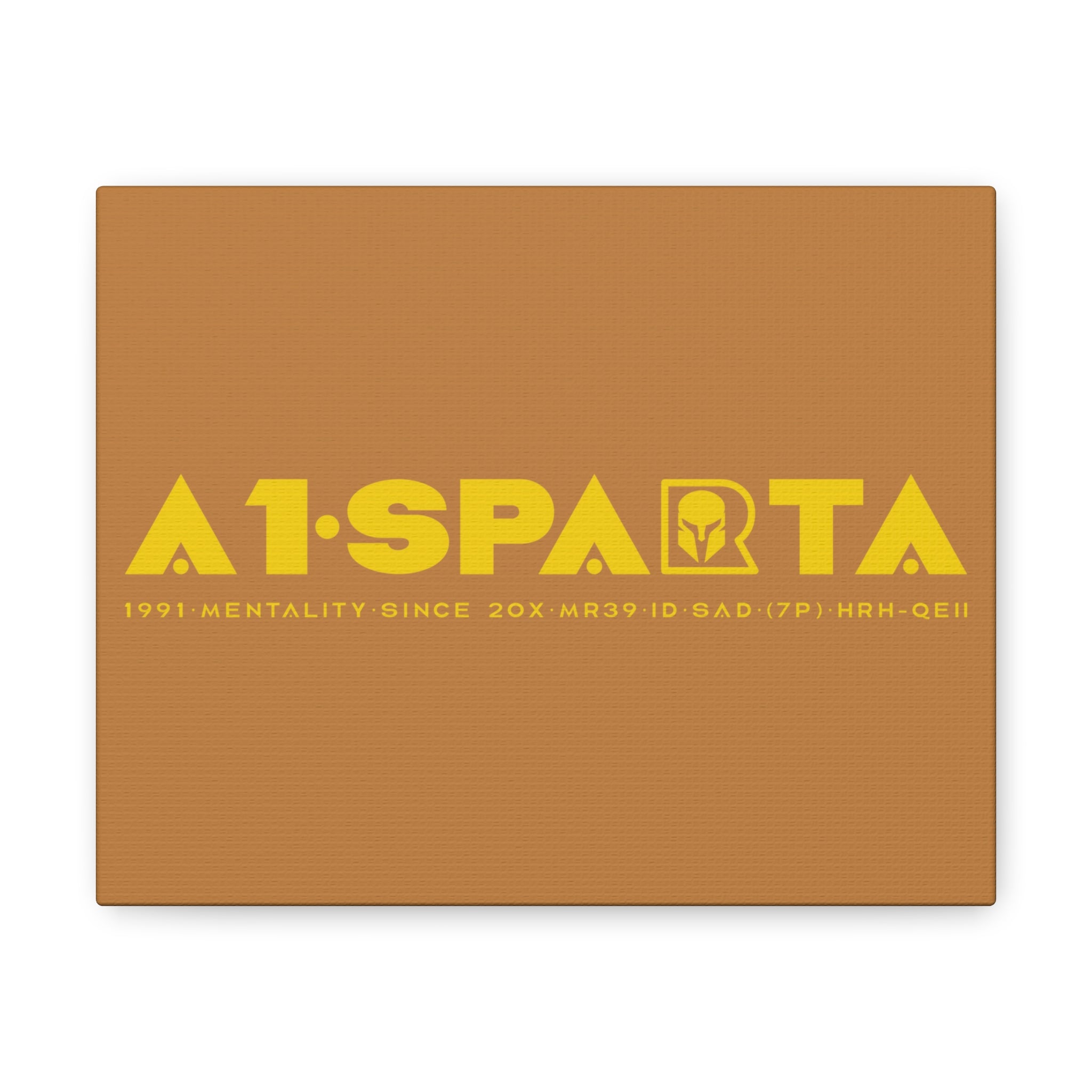 Canvas Gallery Wraps (A1•SPARTA RANGE)