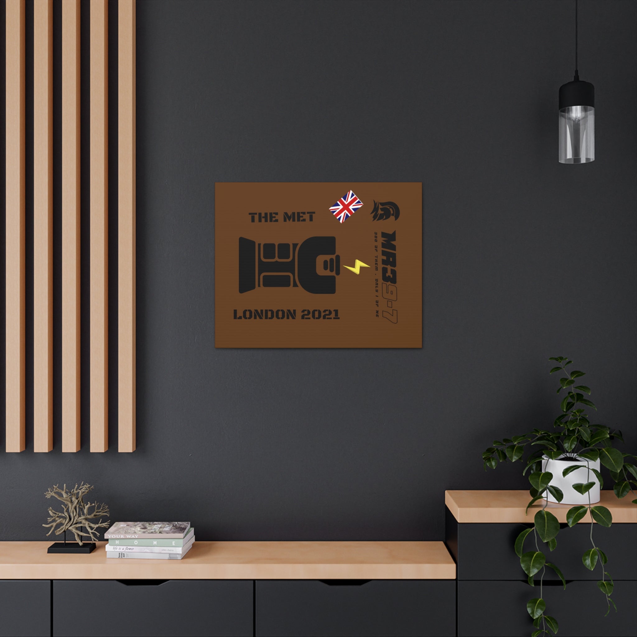 Canvas Gallery Wraps MR 39 Tasered by The MET 2021