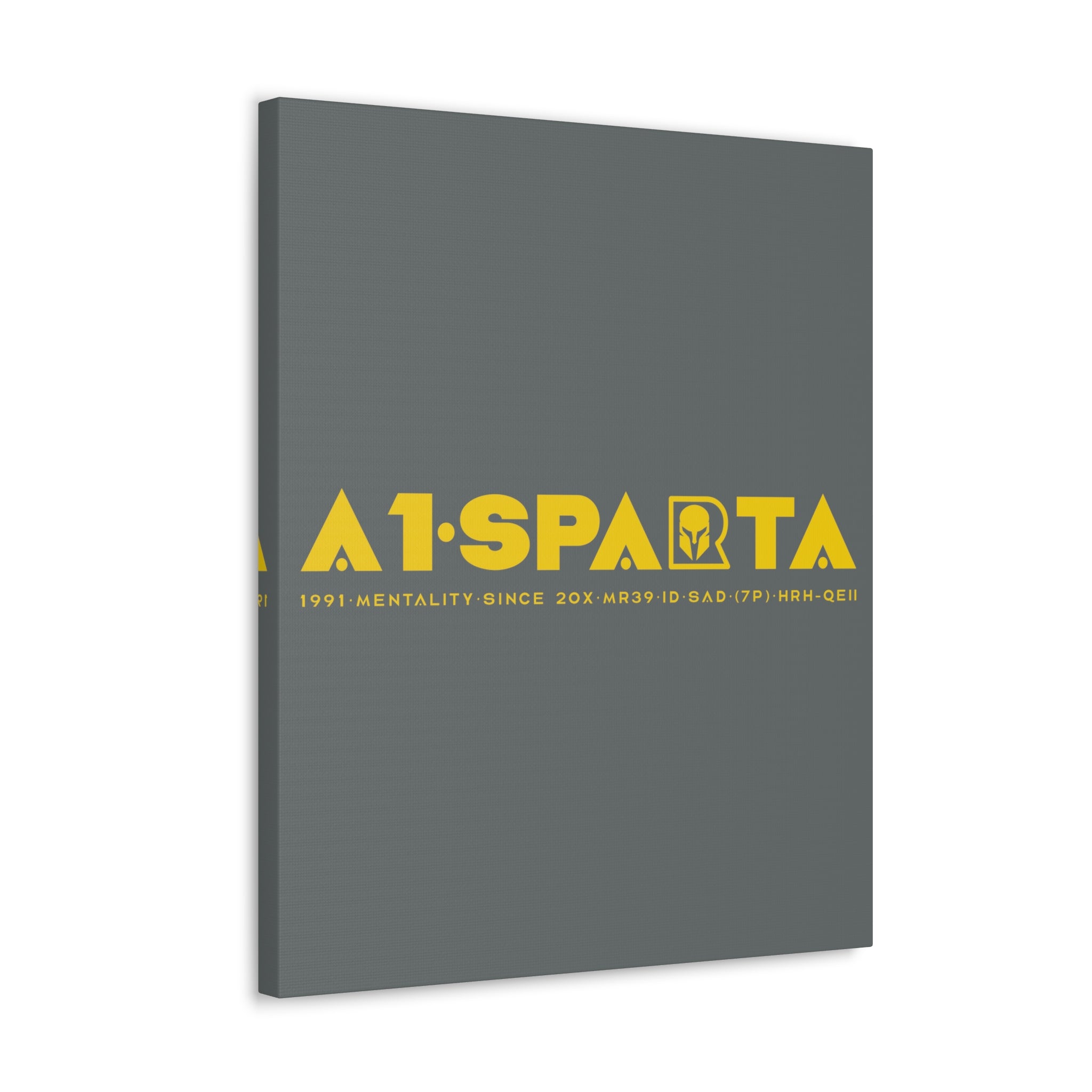 Canvas Gallery Wraps (A1•SPARTA RANGE)