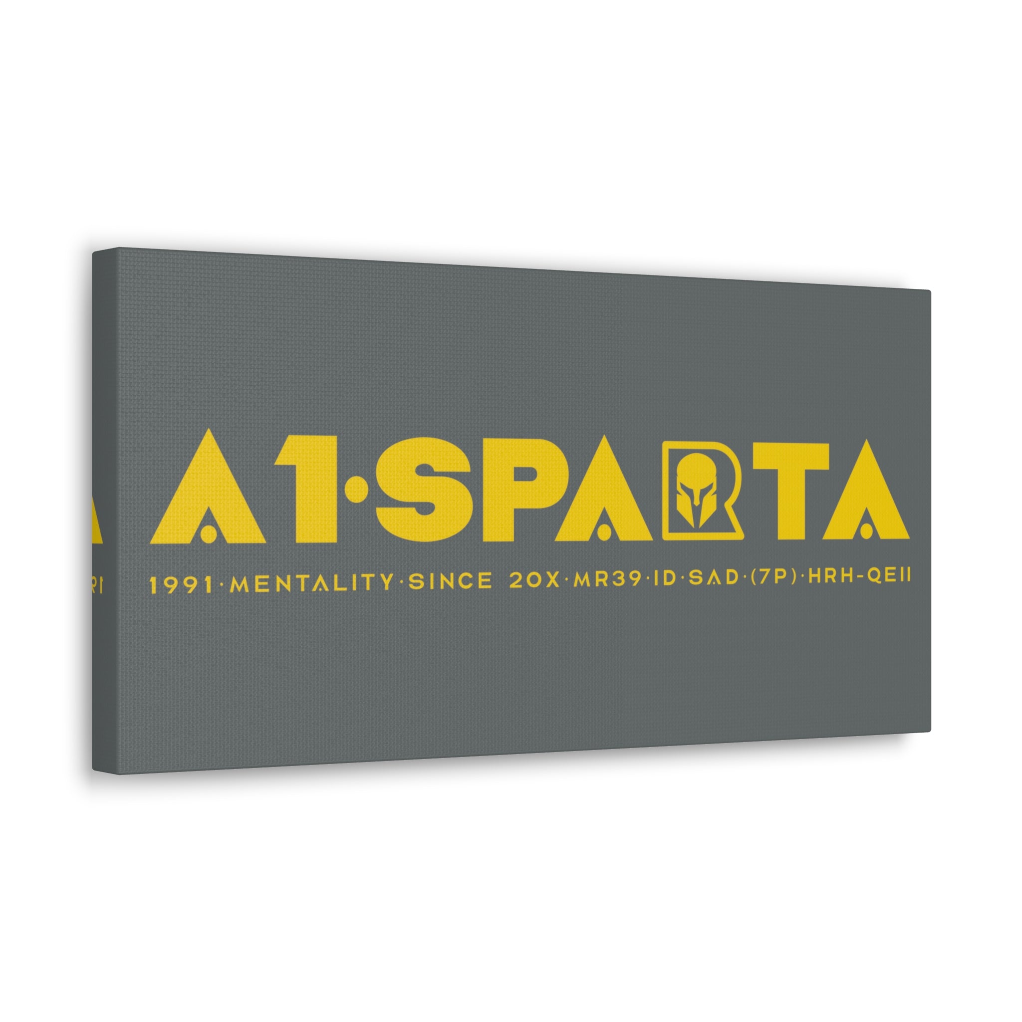 Canvas Gallery Wraps (A1•SPARTA RANGE)