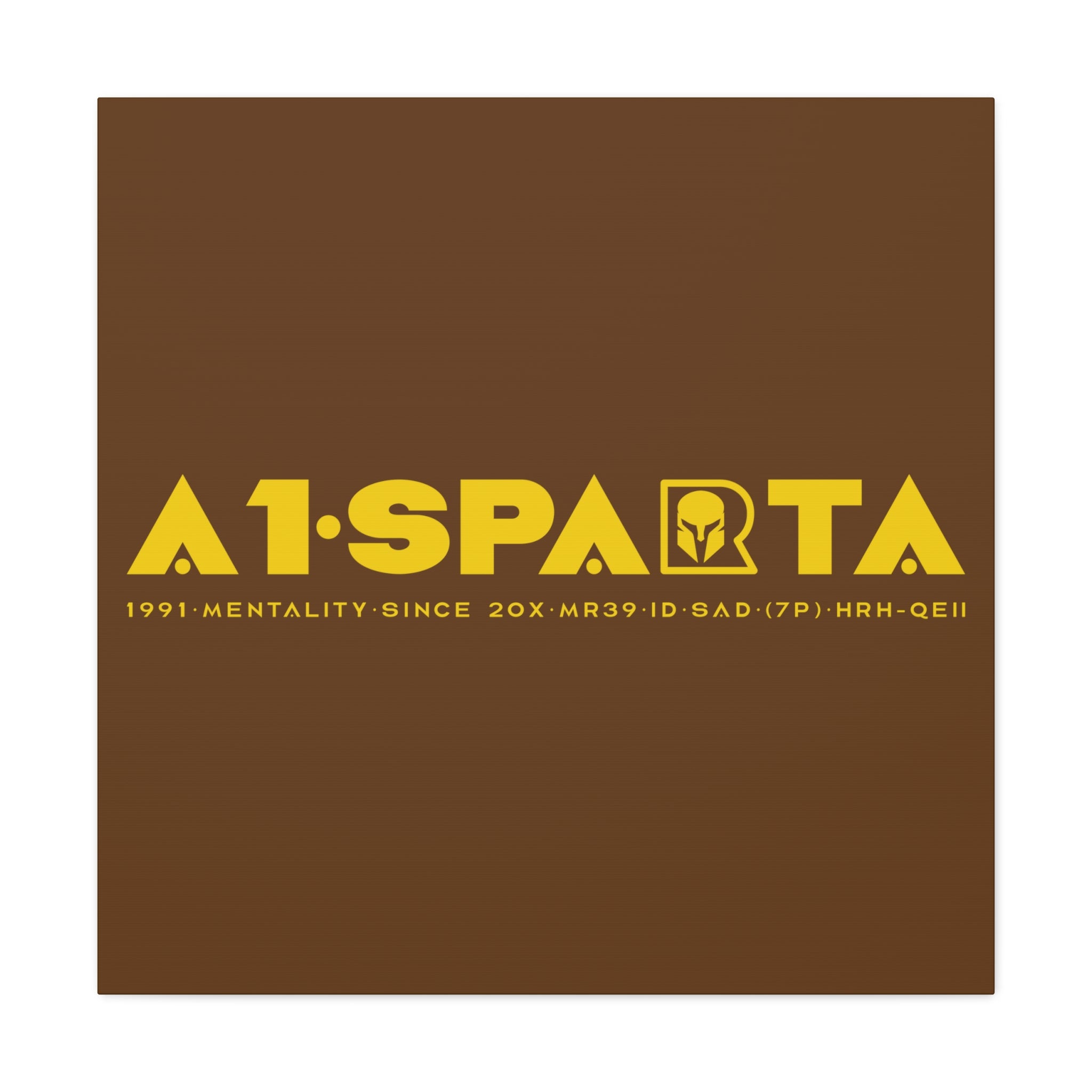 Canvas Gallery Wraps (A1•SPARTA RANGE)