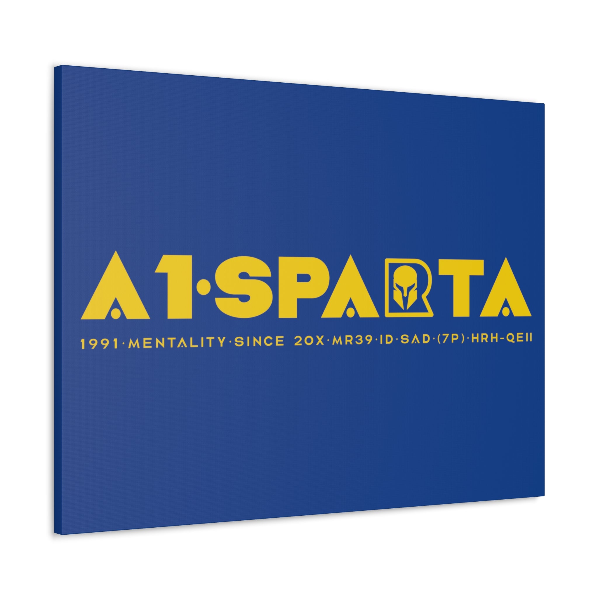 Canvas Gallery Wraps (A1•SPARTA RANGE)