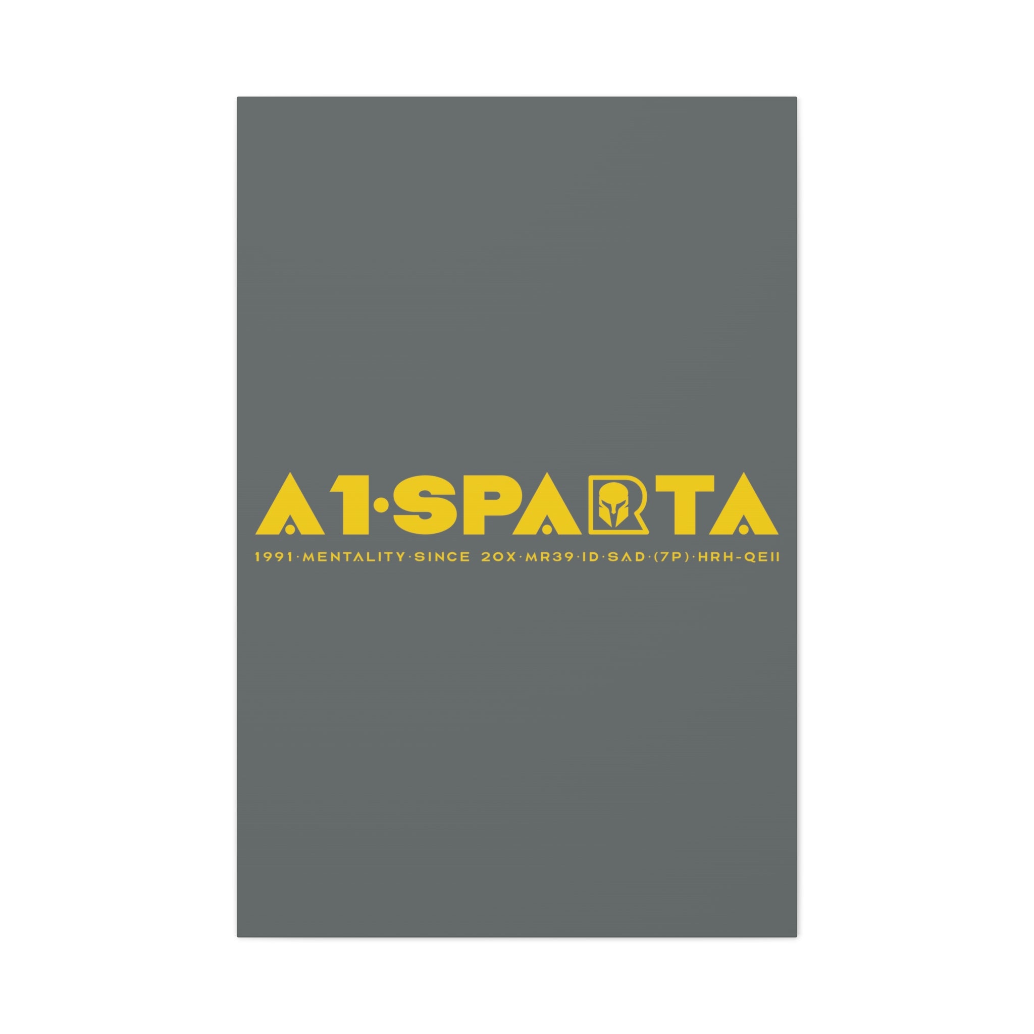 Canvas Gallery Wraps (A1•SPARTA RANGE)