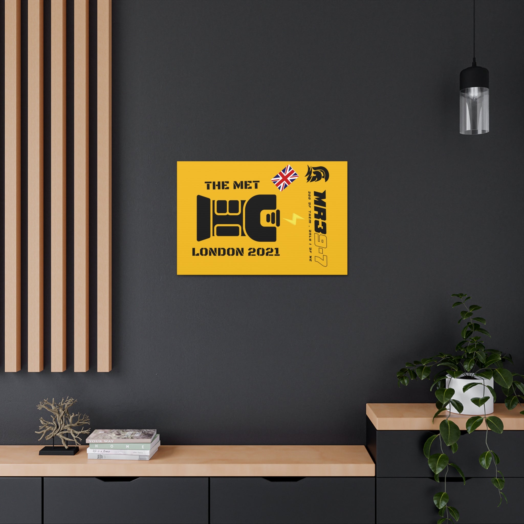 Canvas Gallery Wraps MR 39 Tasered by The MET 2021