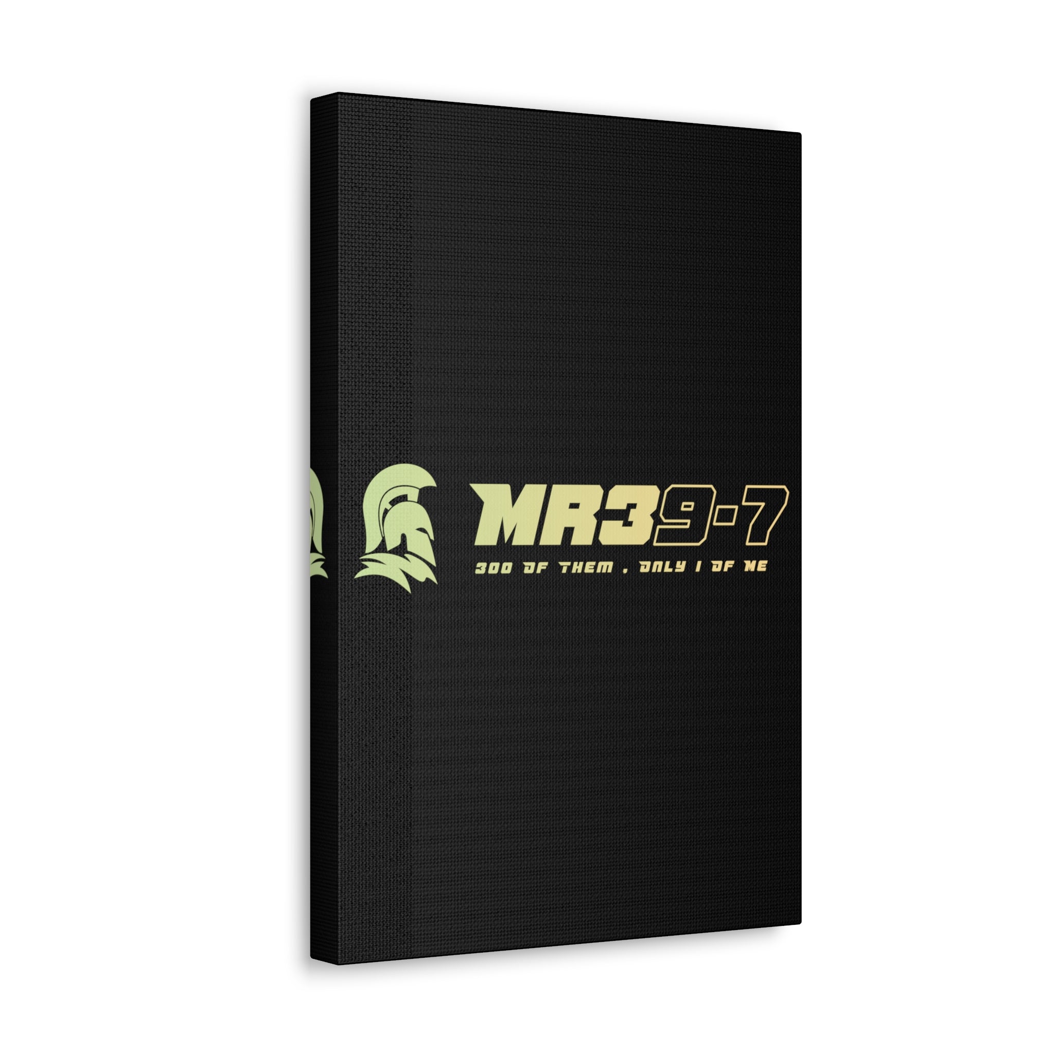 Canvas Gallery Wraps (A1•SPARTA RANGE)