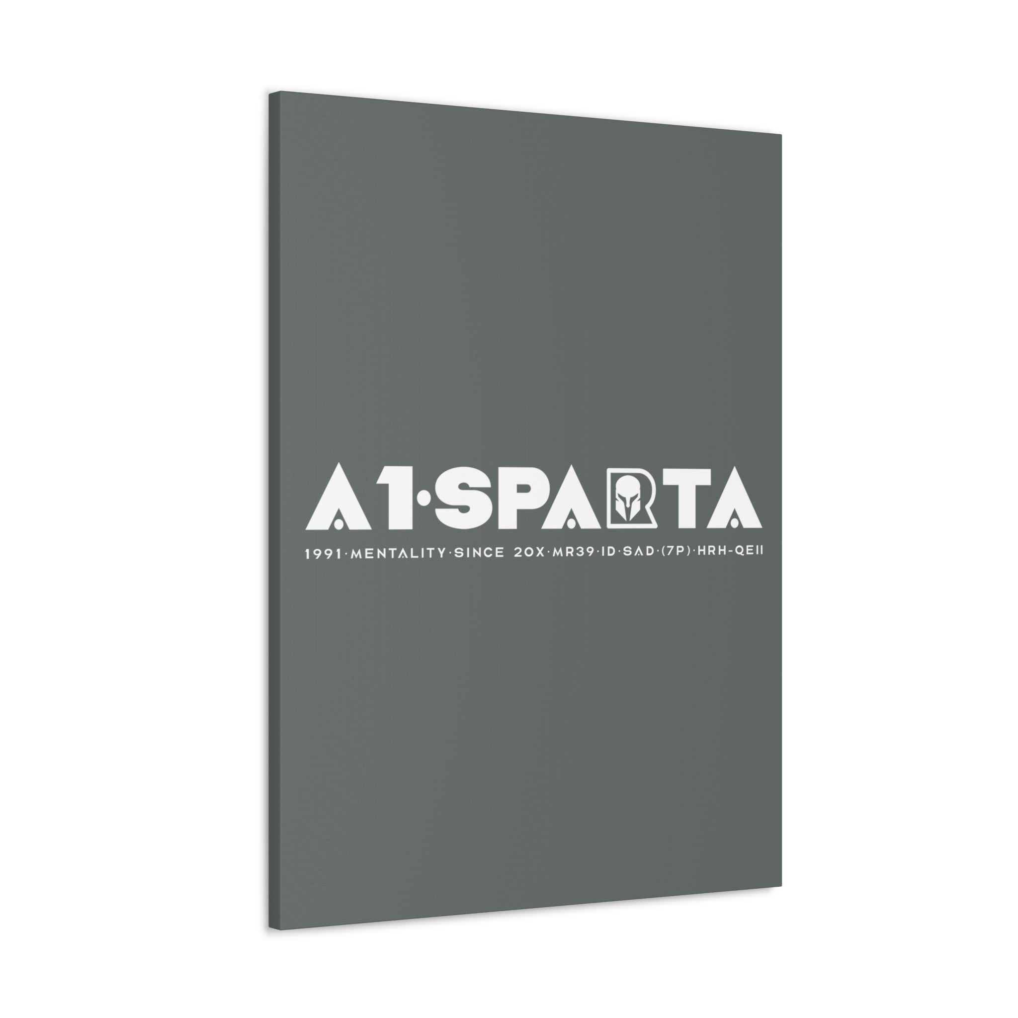 Canvas Gallery Wraps (A1•SPARTA RANGE)