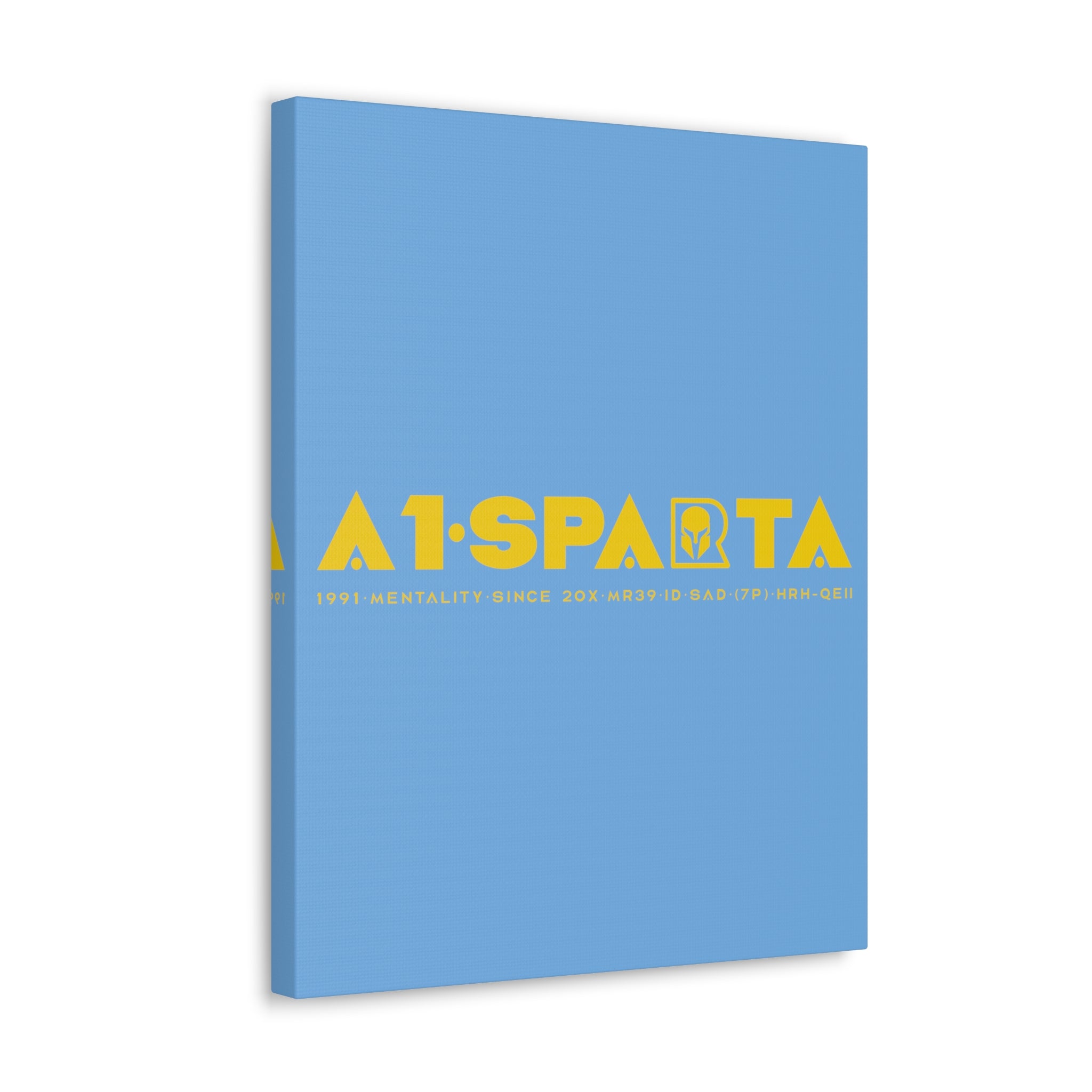 Canvas Gallery Wraps (A1•SPARTA RANGE)