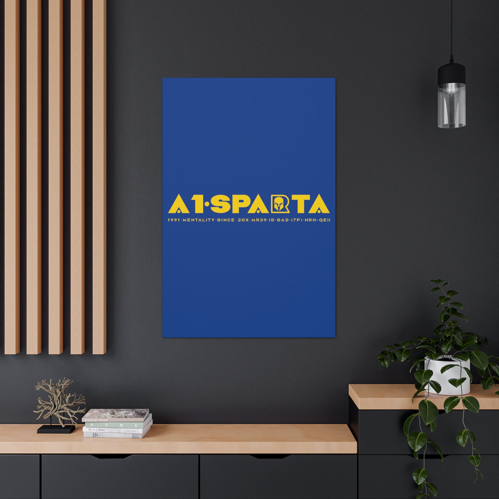 Canvas Gallery Wraps (A1•SPARTA RANGE)