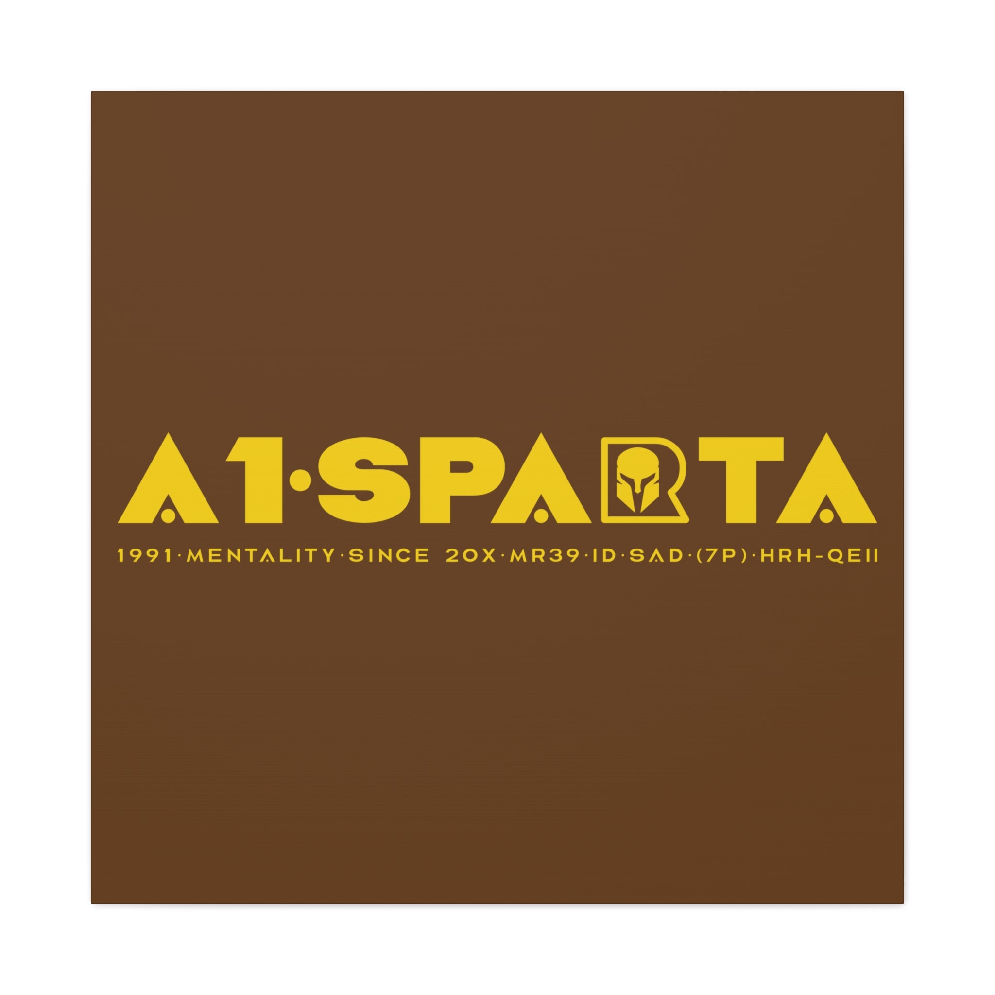 Canvas Gallery Wraps (A1•SPARTA RANGE)