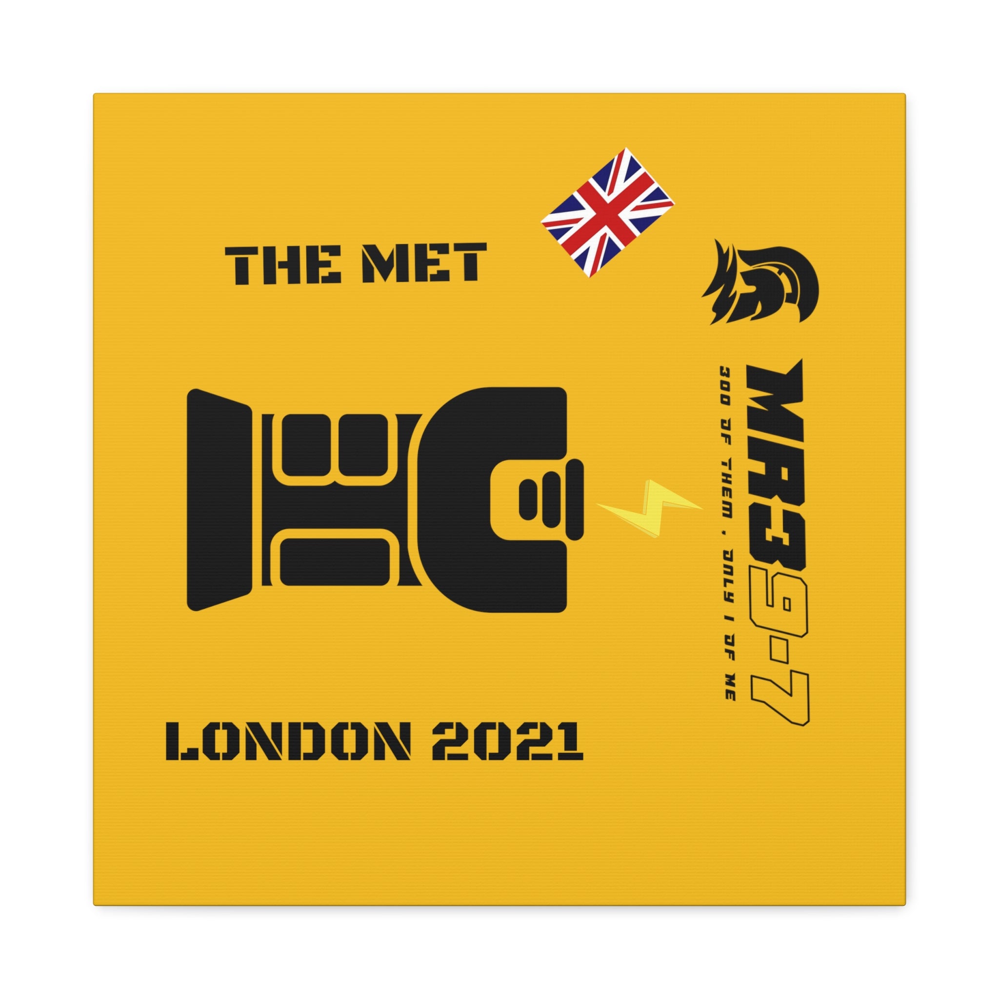 Canvas Gallery Wraps MR 39 Tasered by The MET 2021