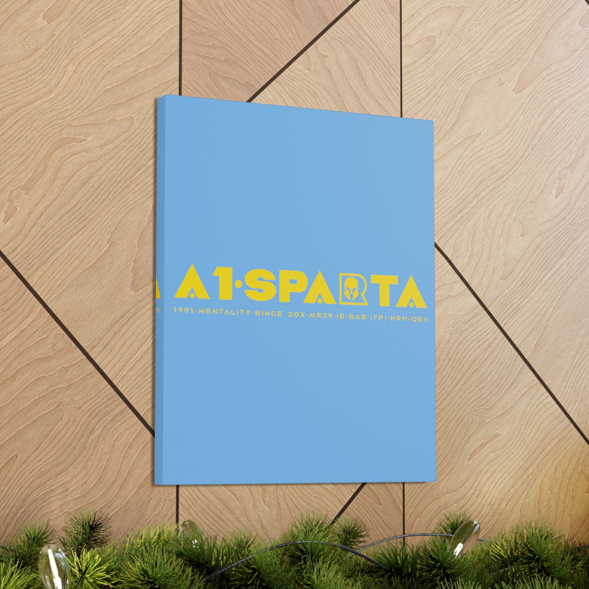 Canvas Gallery Wraps (A1•SPARTA RANGE)