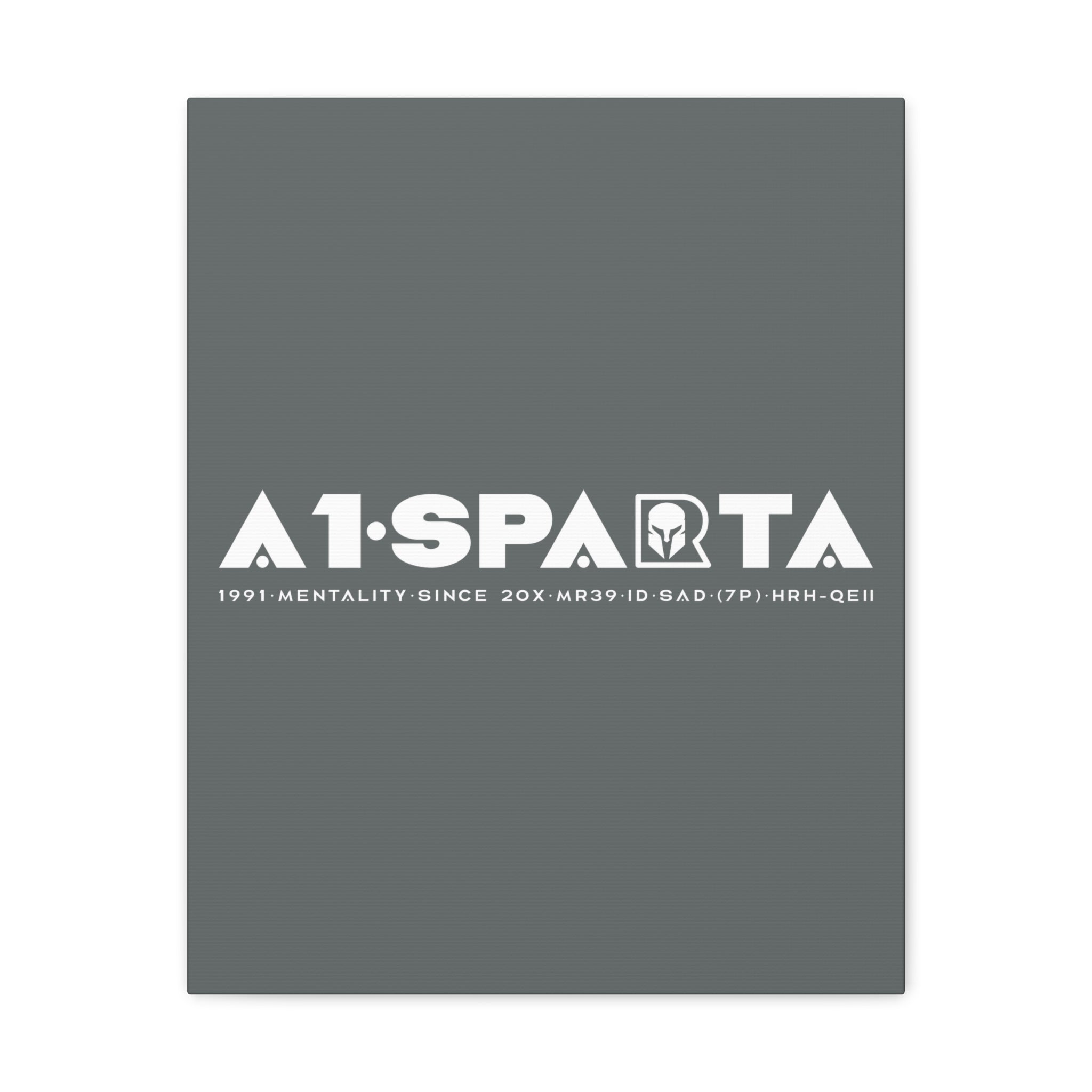 Canvas Gallery Wraps (A1•SPARTA RANGE)