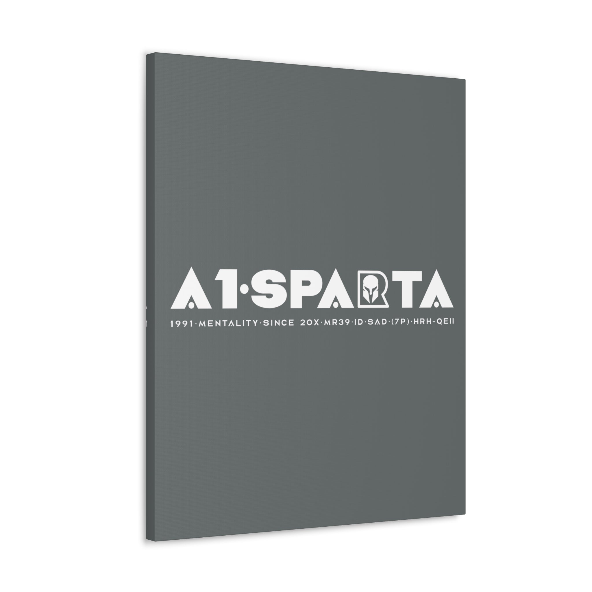 Canvas Gallery Wraps (A1•SPARTA RANGE)