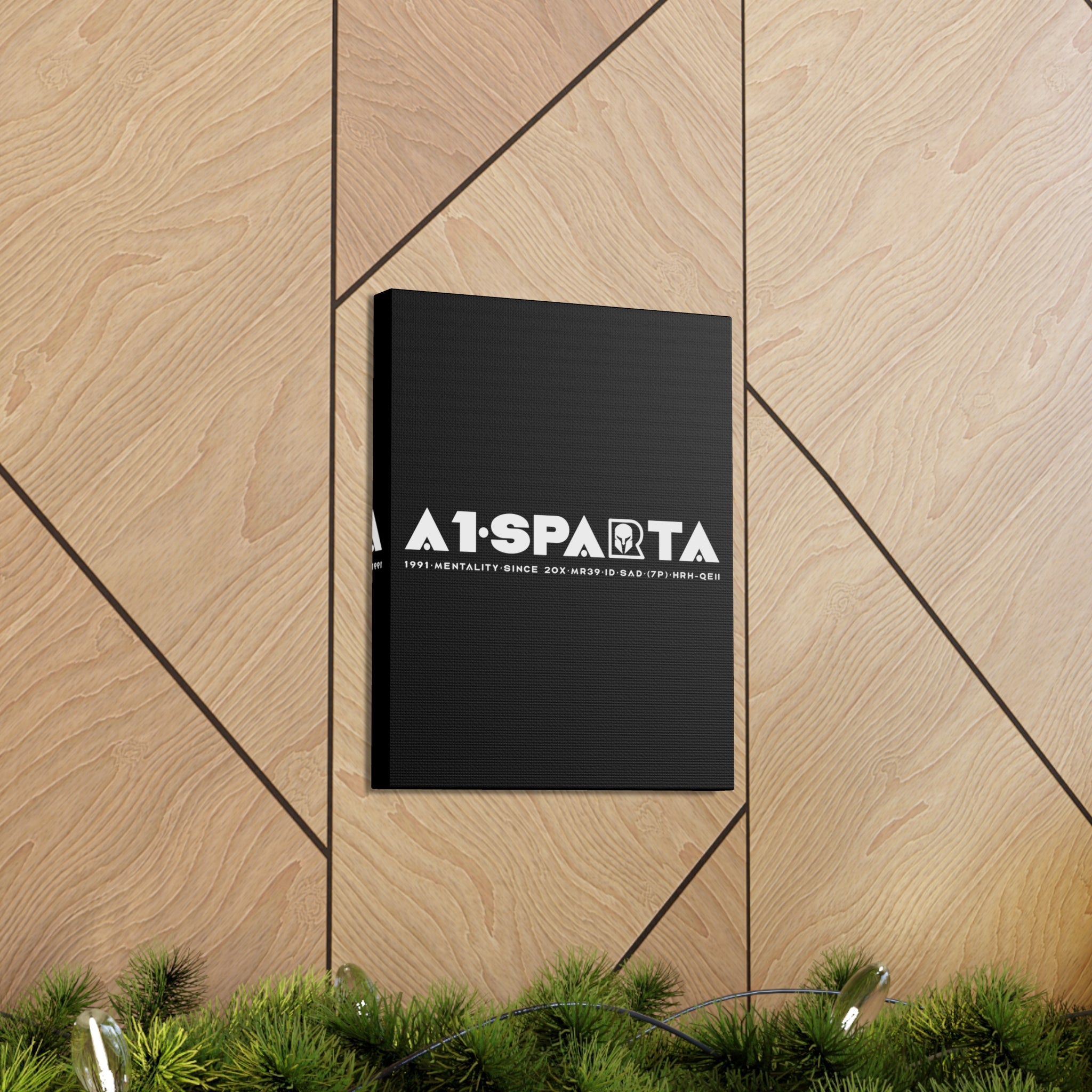 Canvas Gallery Wraps (A1•SPARTA RANGE)