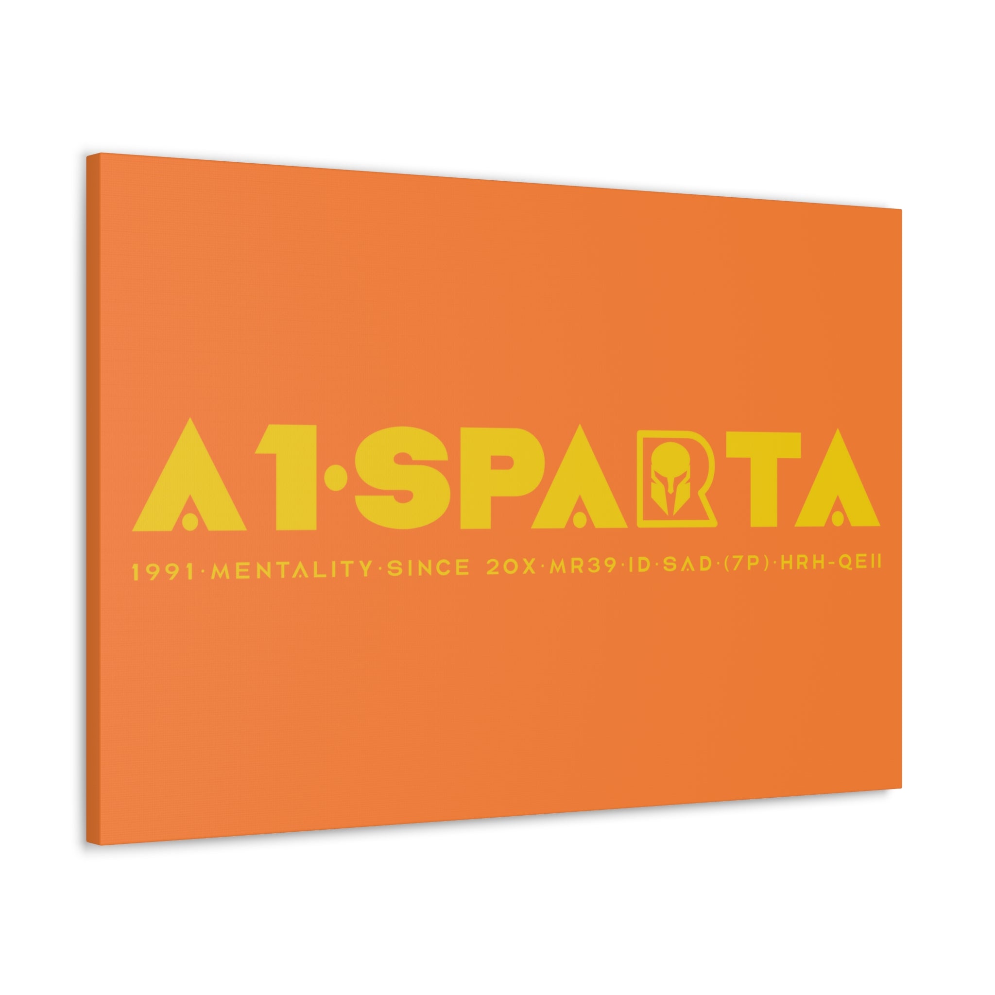 Canvas Gallery Wraps (A1•SPARTA RANGE)