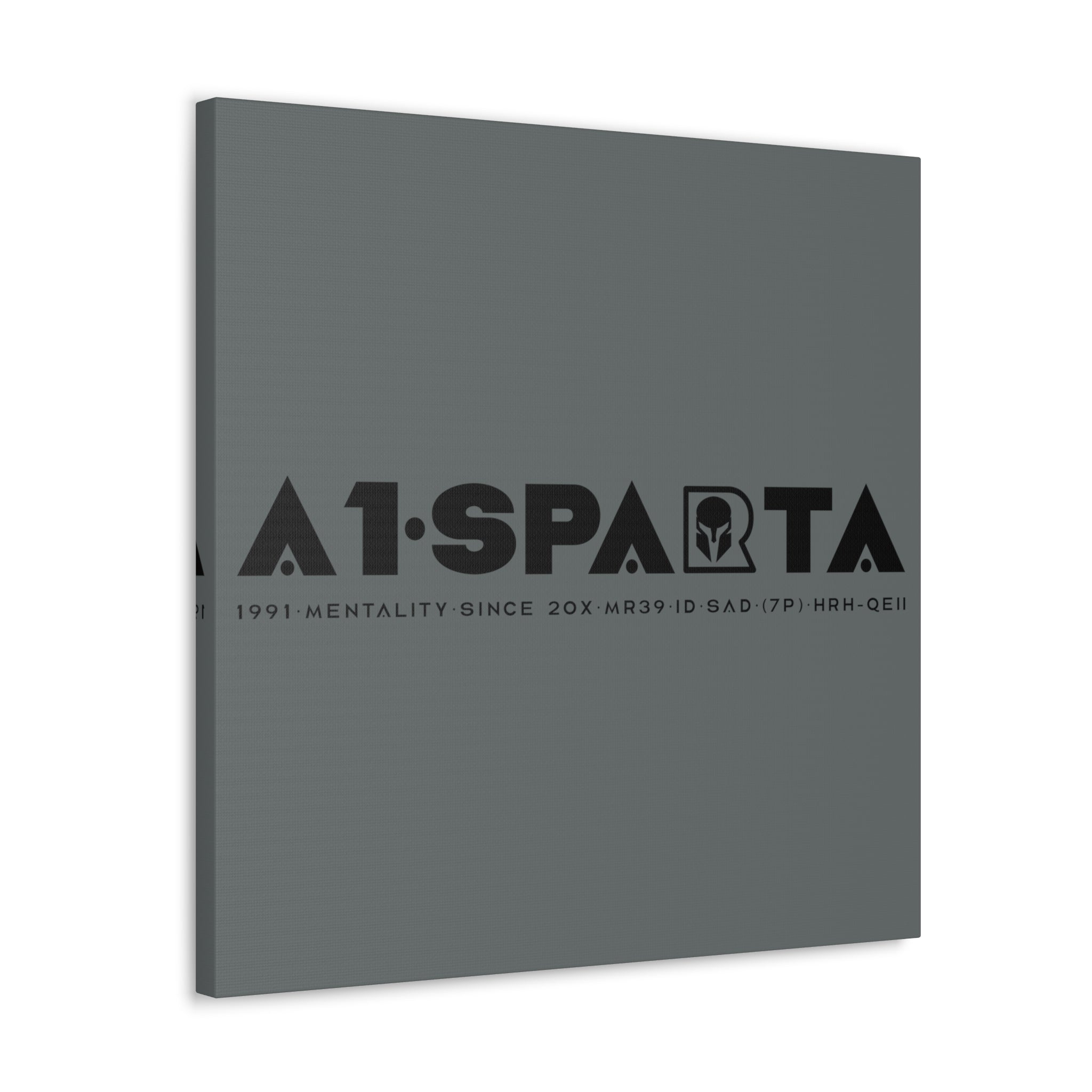 Canvas Gallery Wraps (A1•SPARTA RANGE)