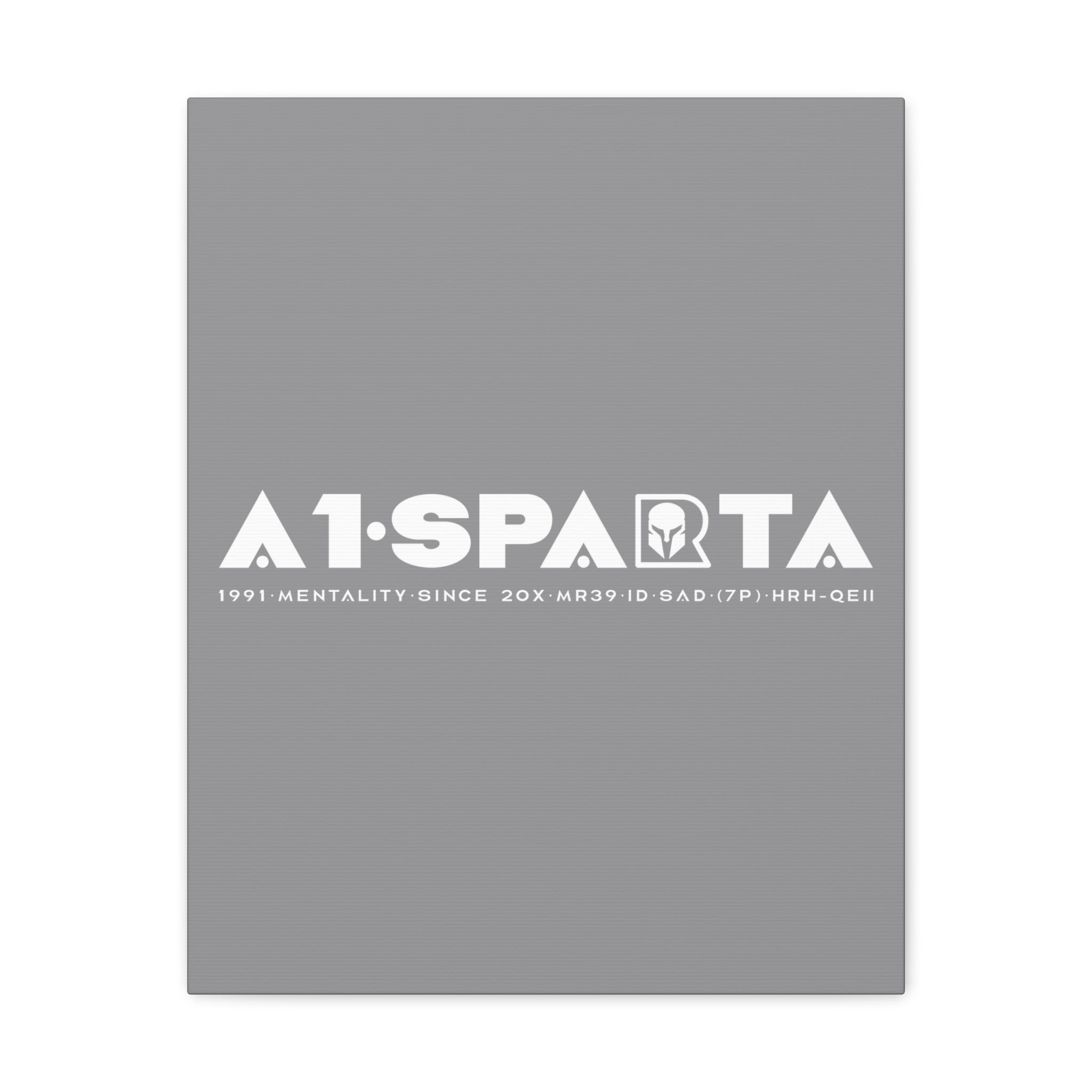 Canvas Gallery Wraps (A1•SPARTA RANGE)