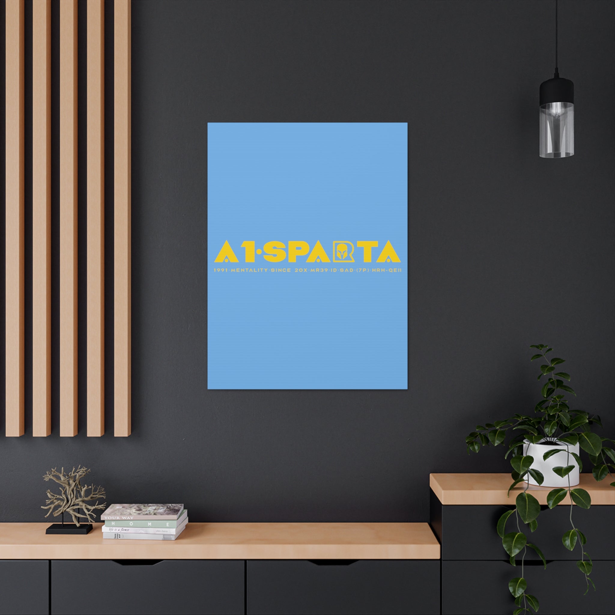 Canvas Gallery Wraps (A1•SPARTA RANGE)