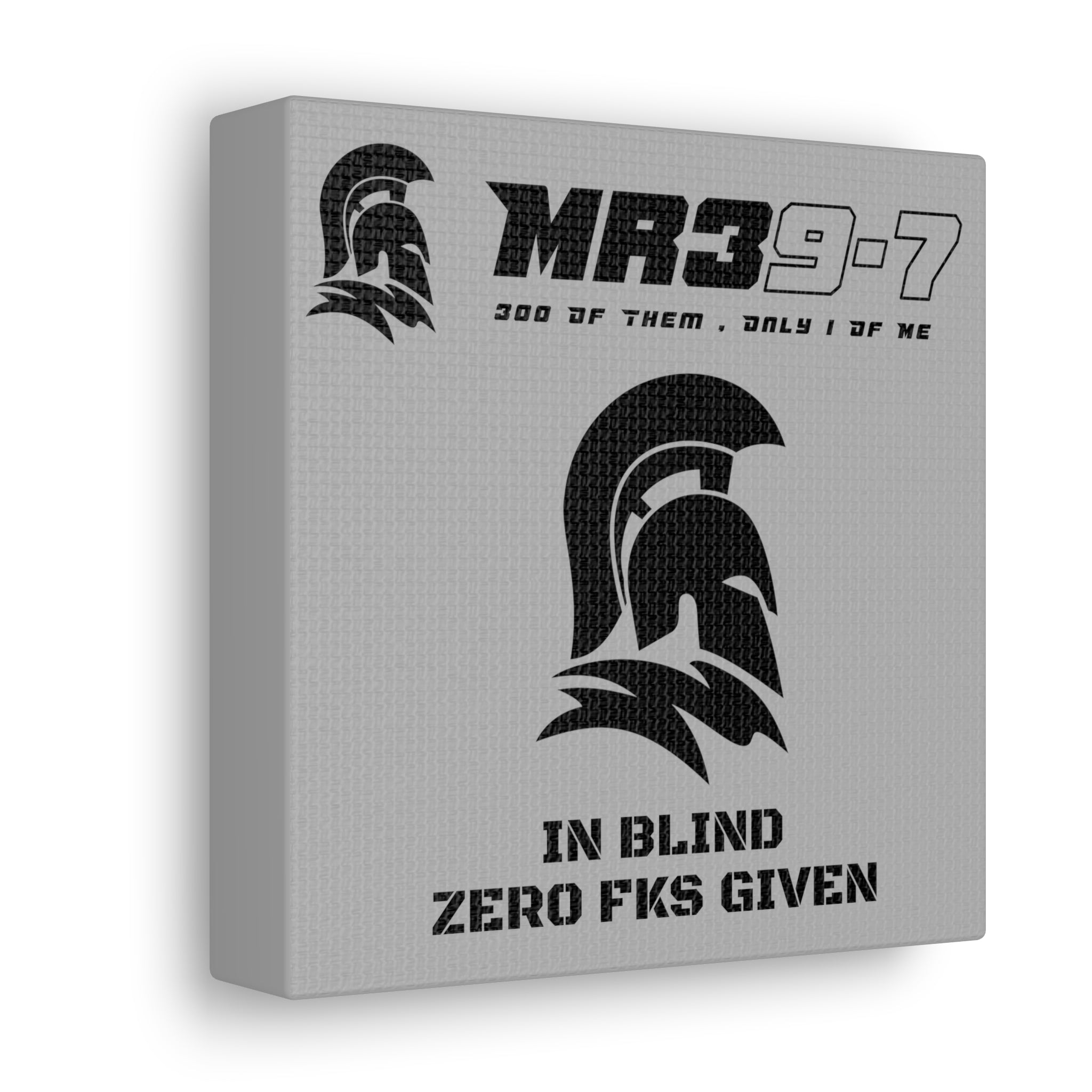 AWDW Vigilante themed Canvas Gallery Wraps