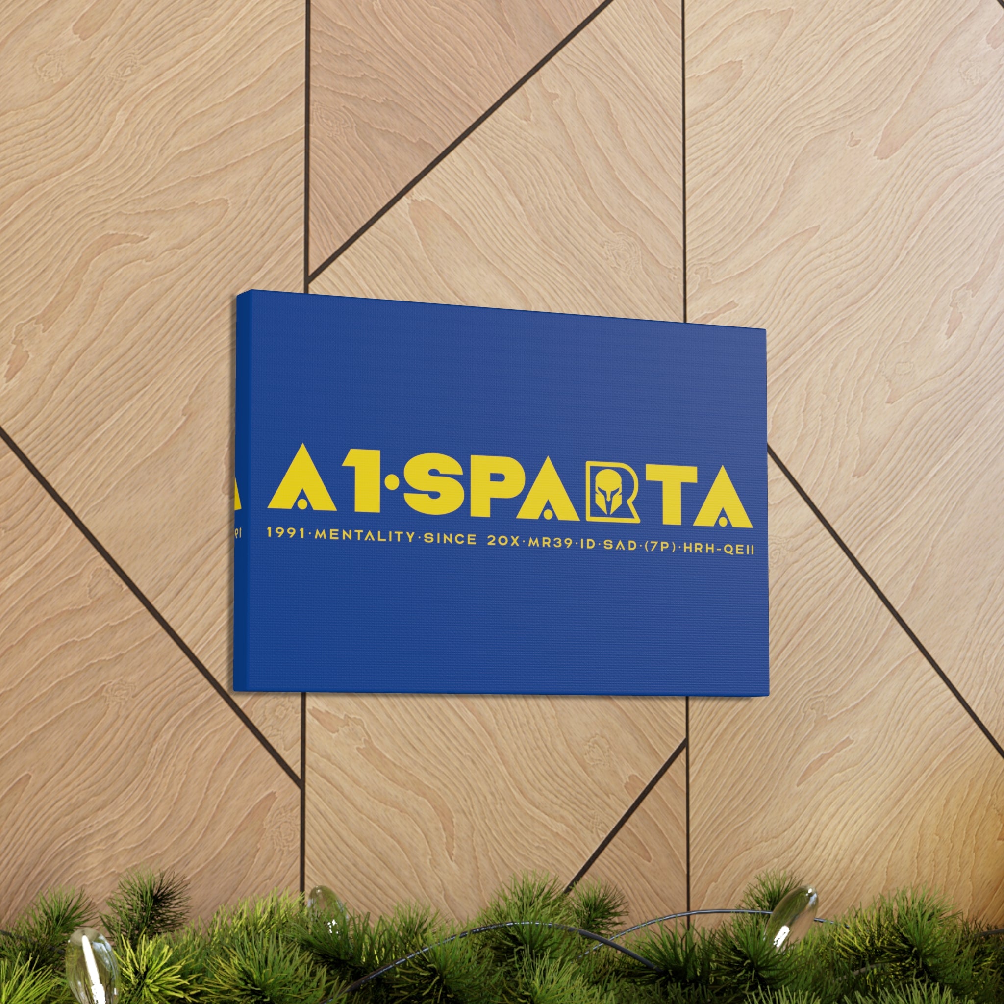 Canvas Gallery Wraps (A1•SPARTA RANGE)