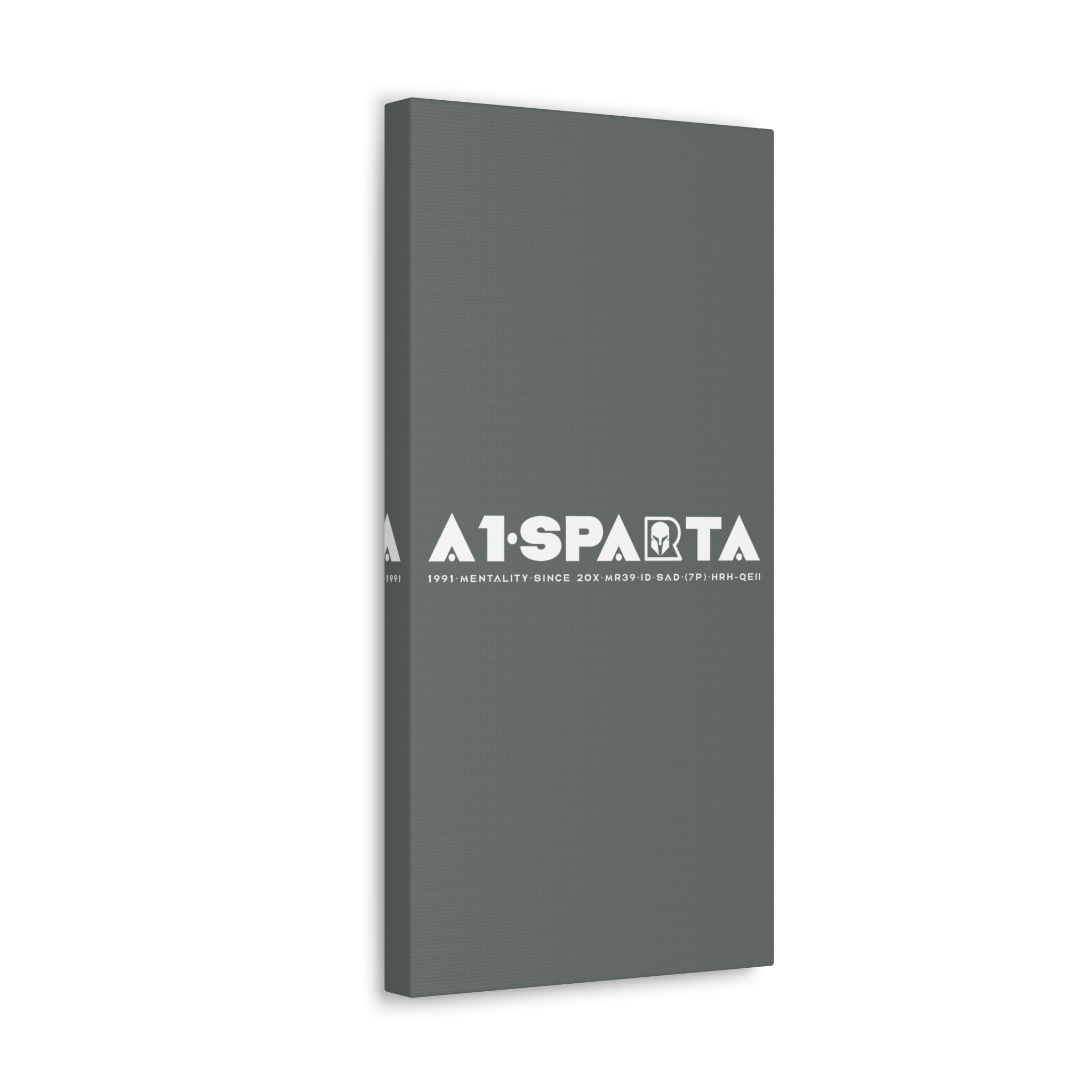 Canvas Gallery Wraps (A1•SPARTA RANGE)