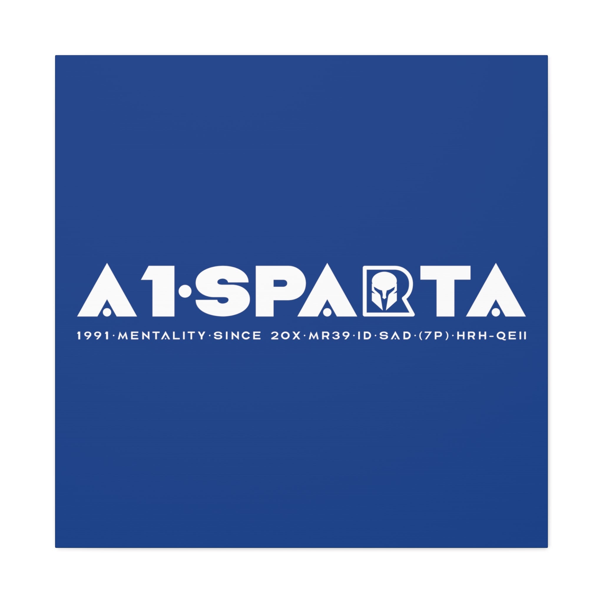 Canvas Gallery Wraps (A1•SPARTA RANGE)