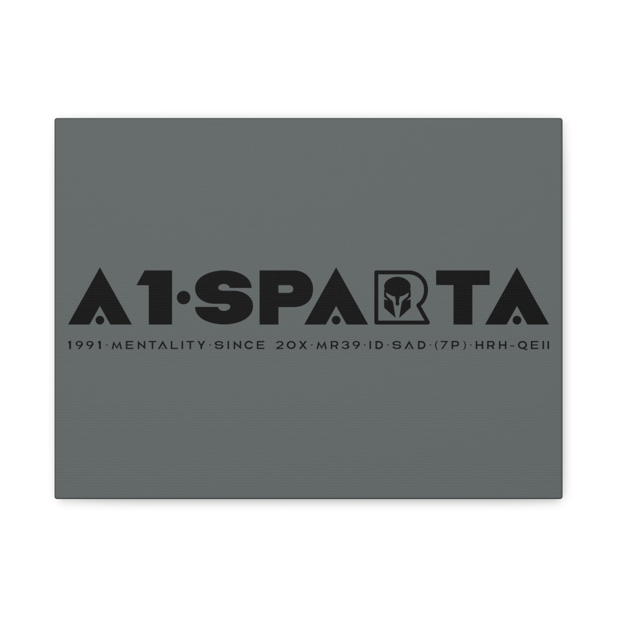 Canvas Gallery Wraps (A1•SPARTA RANGE)