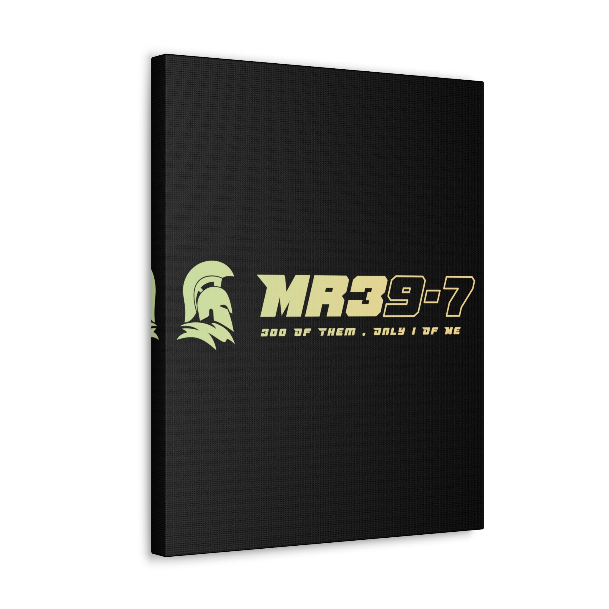 Canvas Gallery Wraps (A1•SPARTA RANGE)