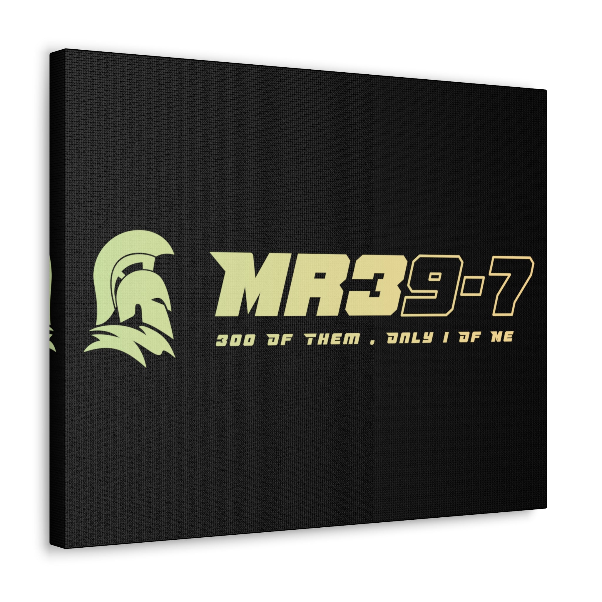 Canvas Gallery Wraps (A1•SPARTA RANGE)