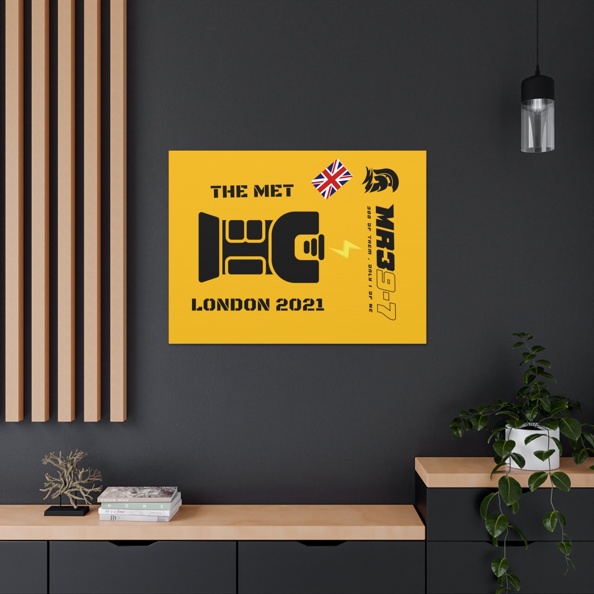 Canvas Gallery Wraps MR 39 Tasered by The MET 2021