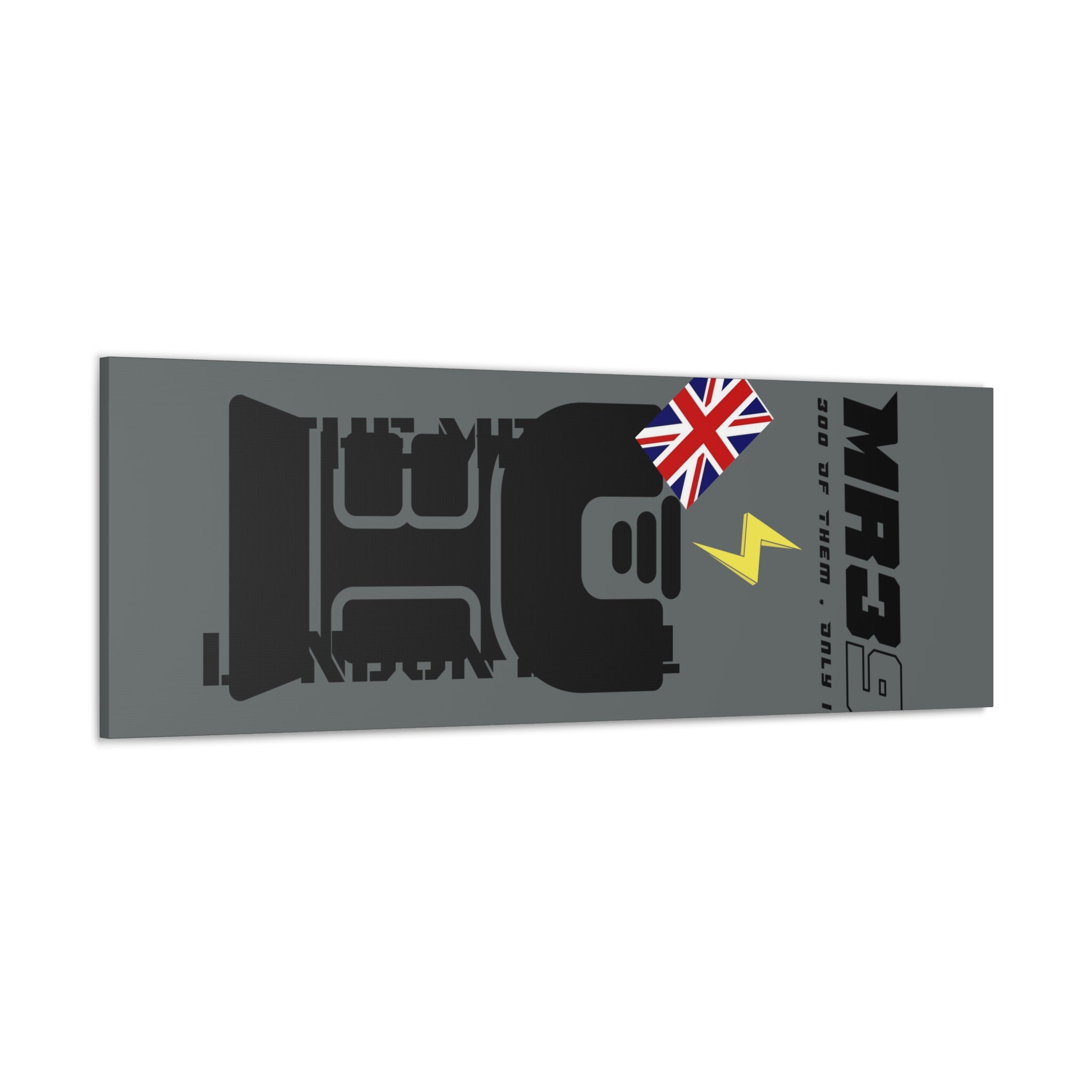 Canvas Gallery Wraps MR 39 Tasered by The MET 2021