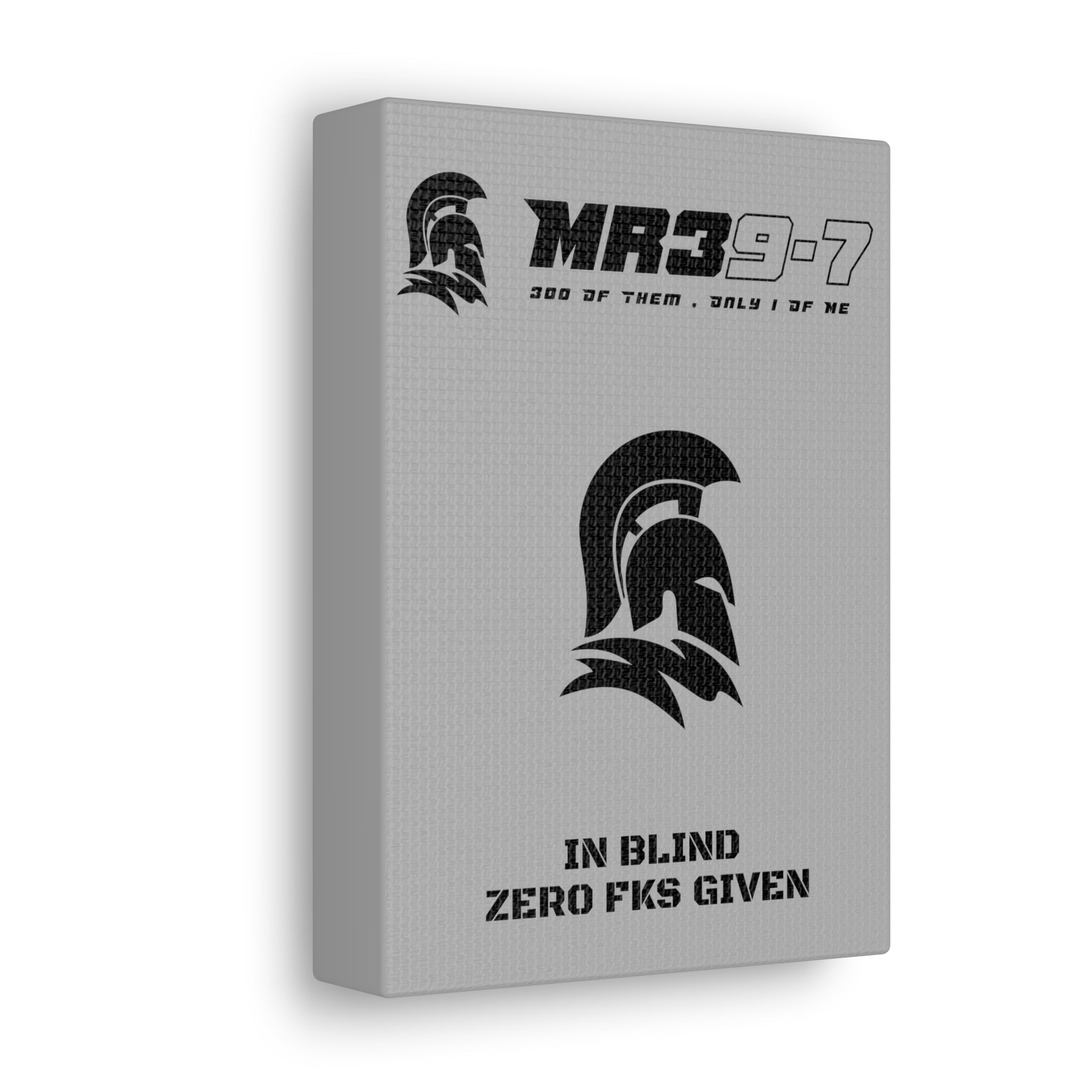 AWDW Vigilante themed Canvas Gallery Wraps