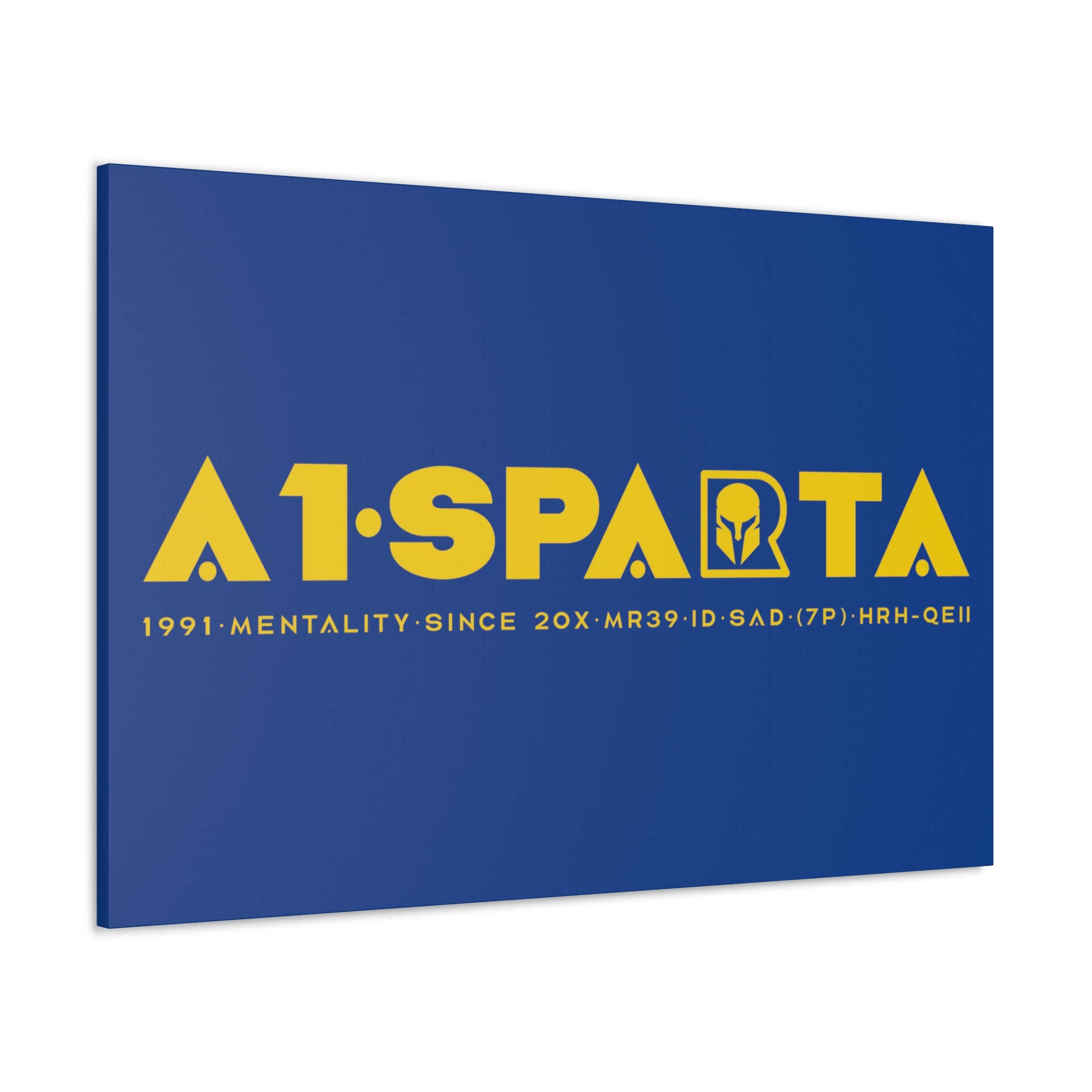 Canvas Gallery Wraps (A1•SPARTA RANGE)